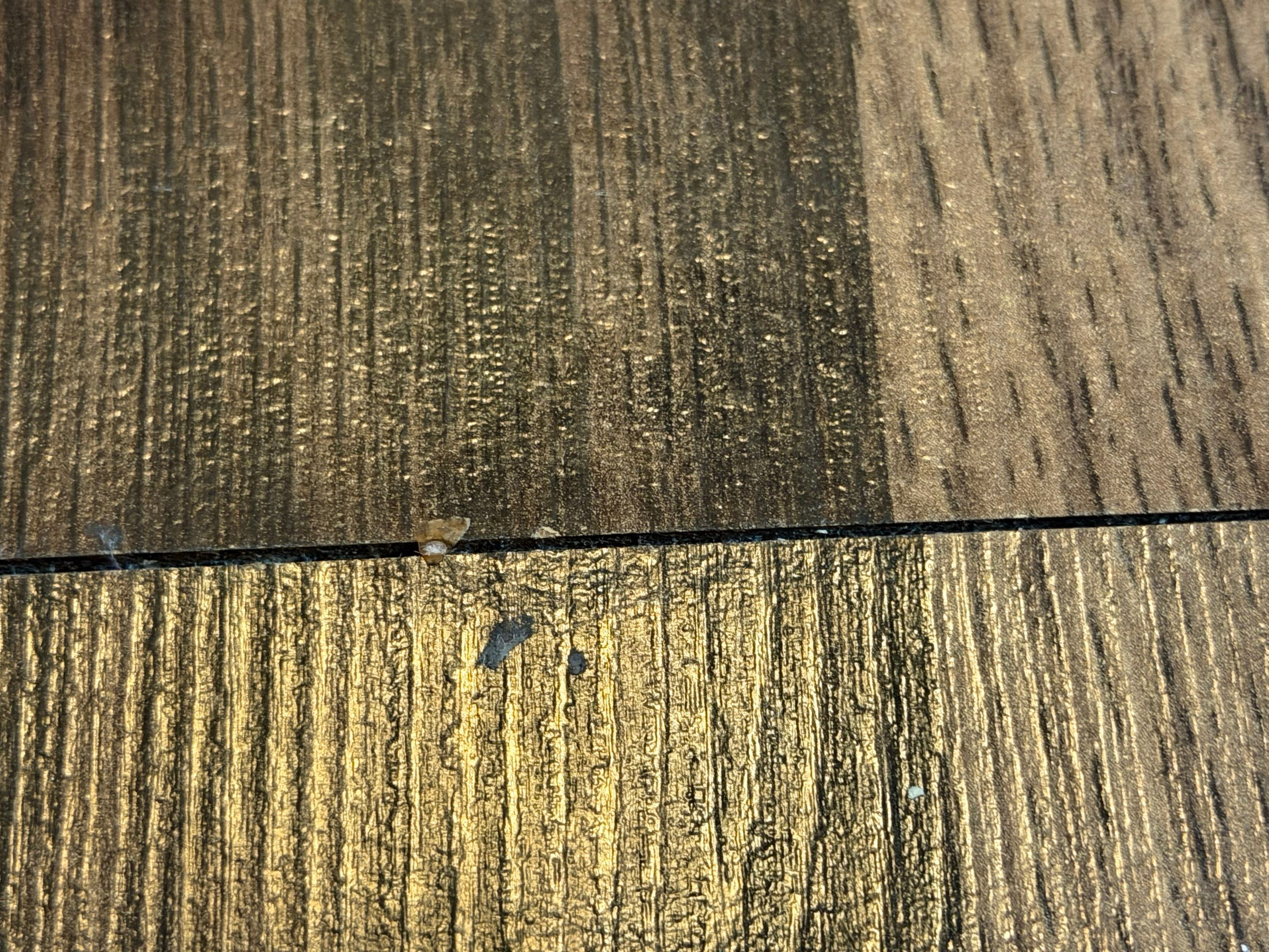 Interior Damage Claim in Lykens by FLAPA & KeyStone