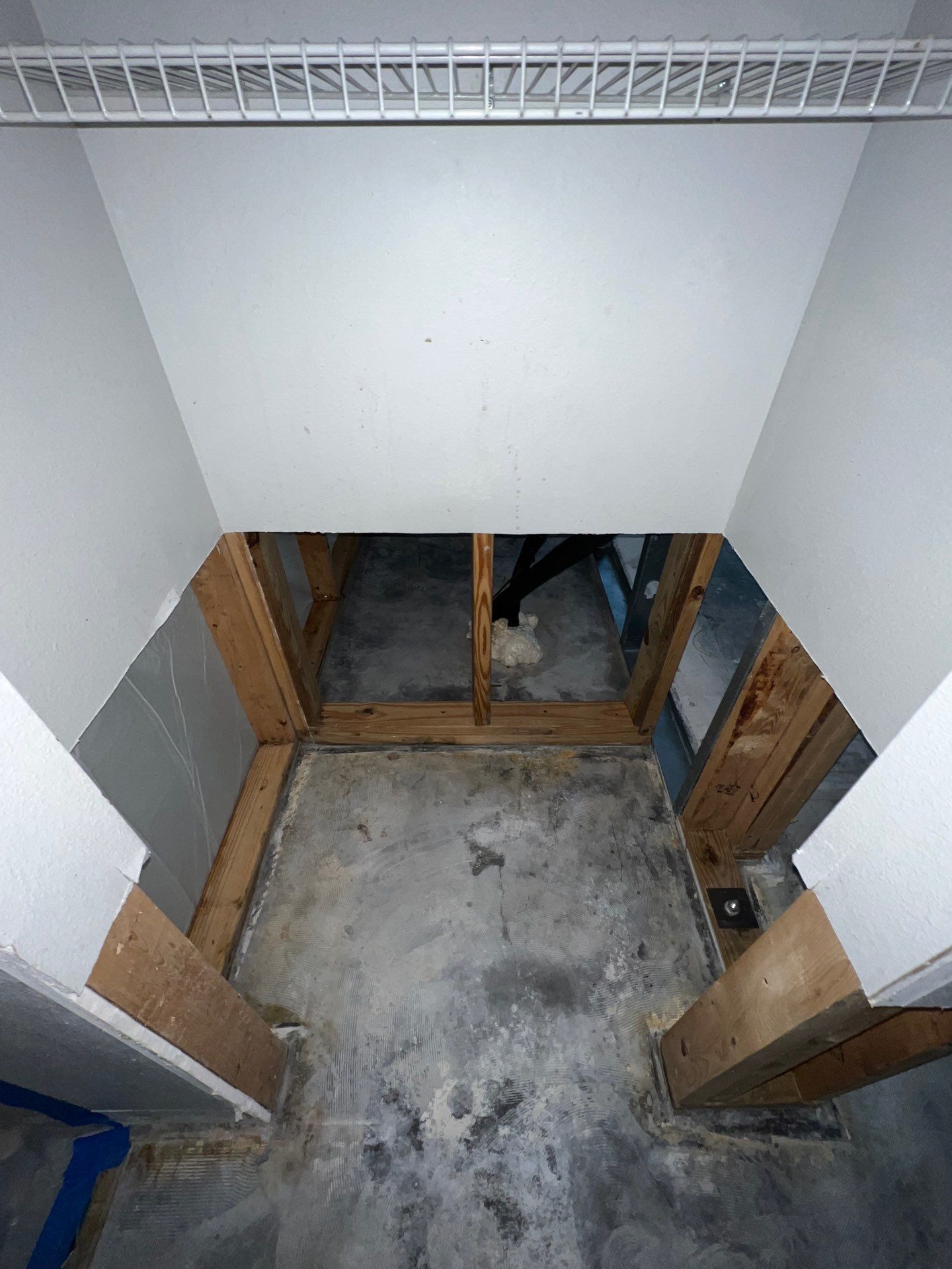 Stansell - water and mold photos  by THE RAPID TEAM