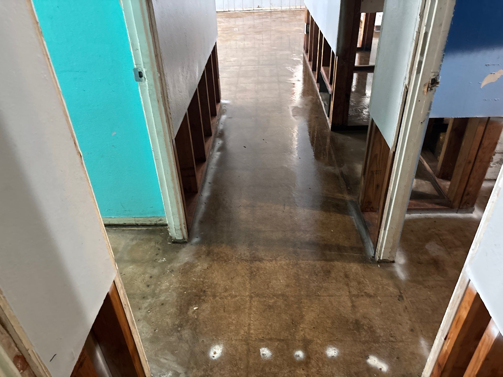 Project in Phoenix, AZ - Asbestos Drywall and VCT Flooring  by Desert Valley Abatement, LLC