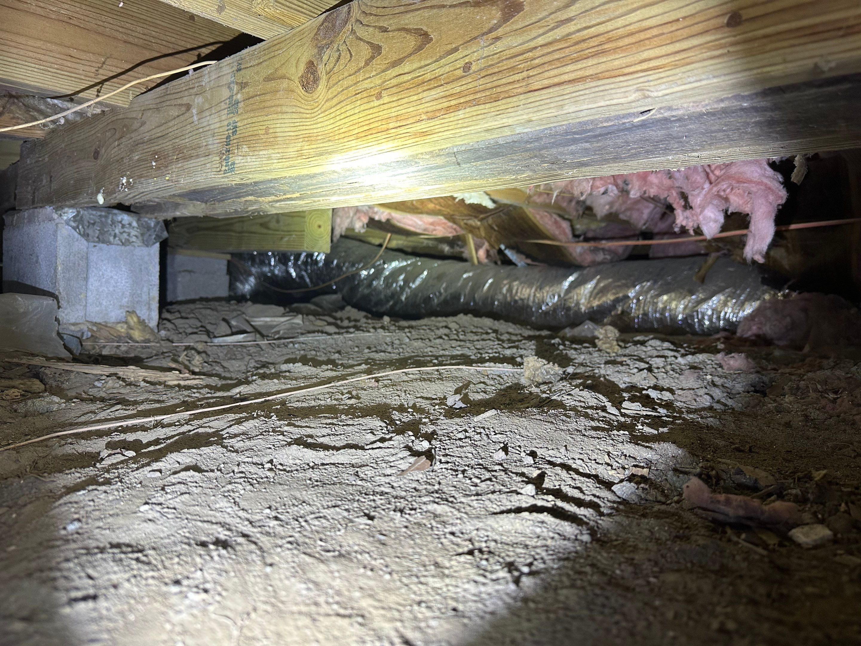 Impact Choice Encapsulation on a low crawlspace. by Impact Crawlspace
