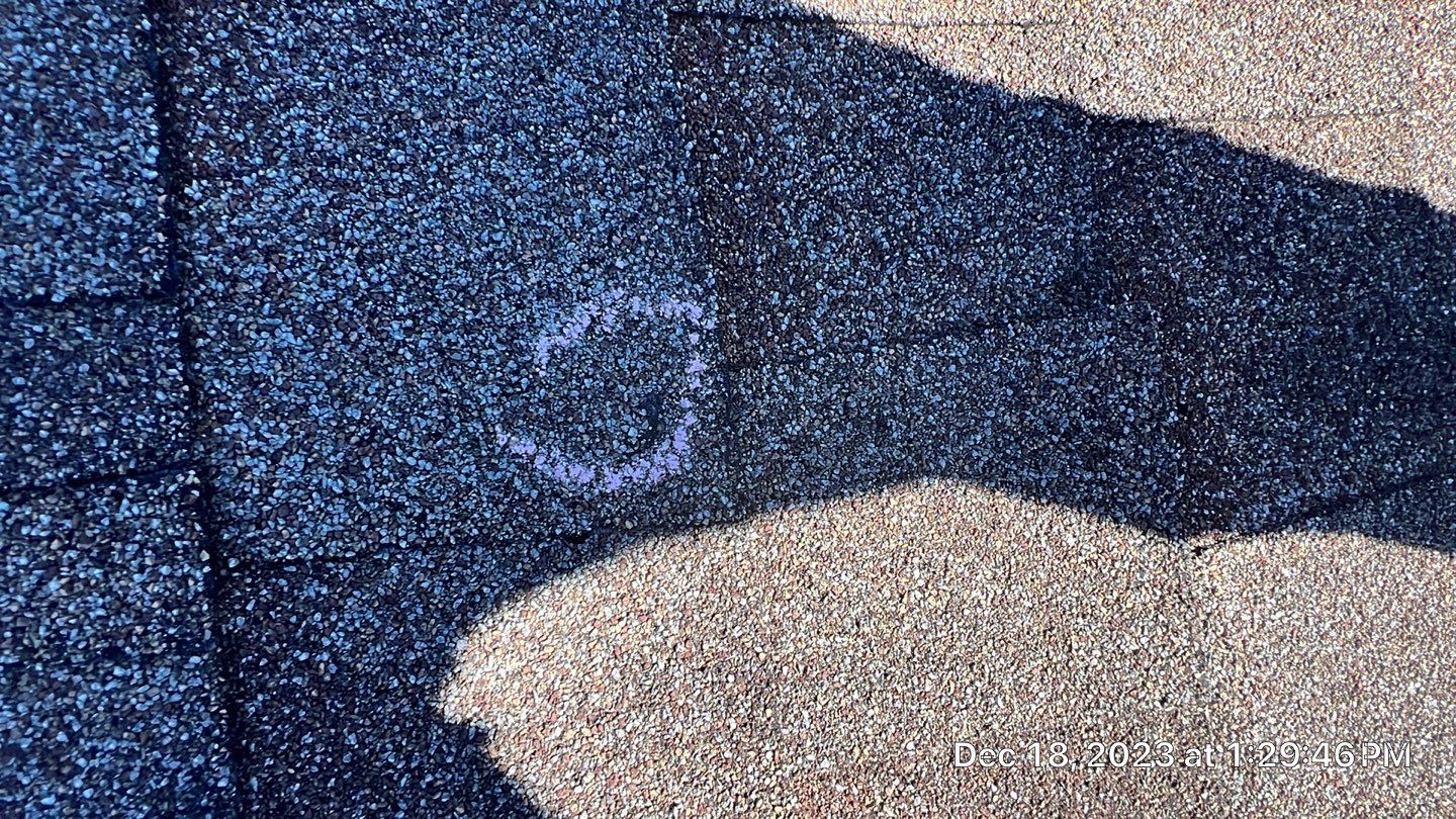 Comprehensive Asphalt Shingle and Flat Roof Replacement in Maitland by Fortified Roofing Solutions Corp.