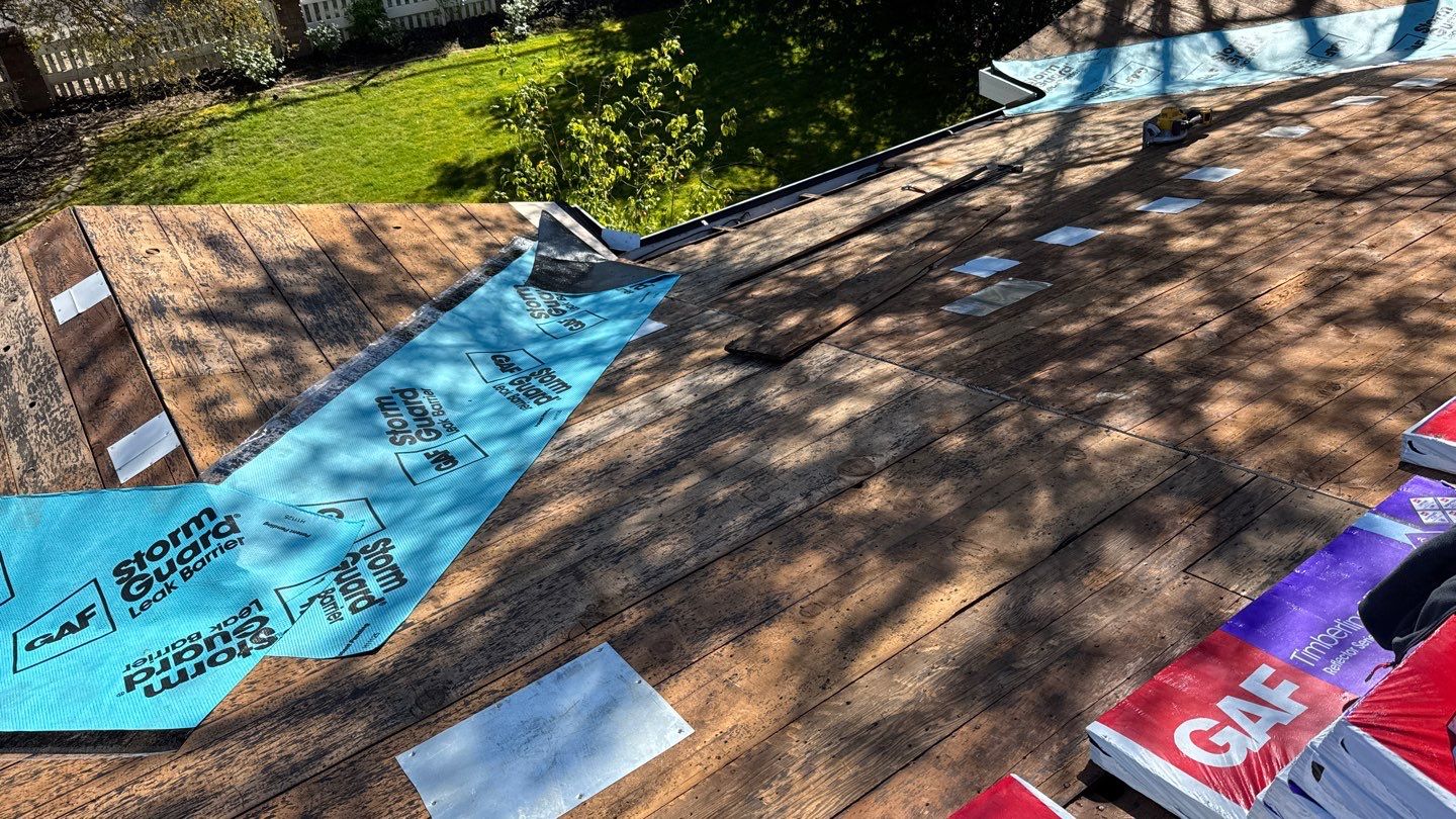 Willa Holmstock by NuLead Construction Inc