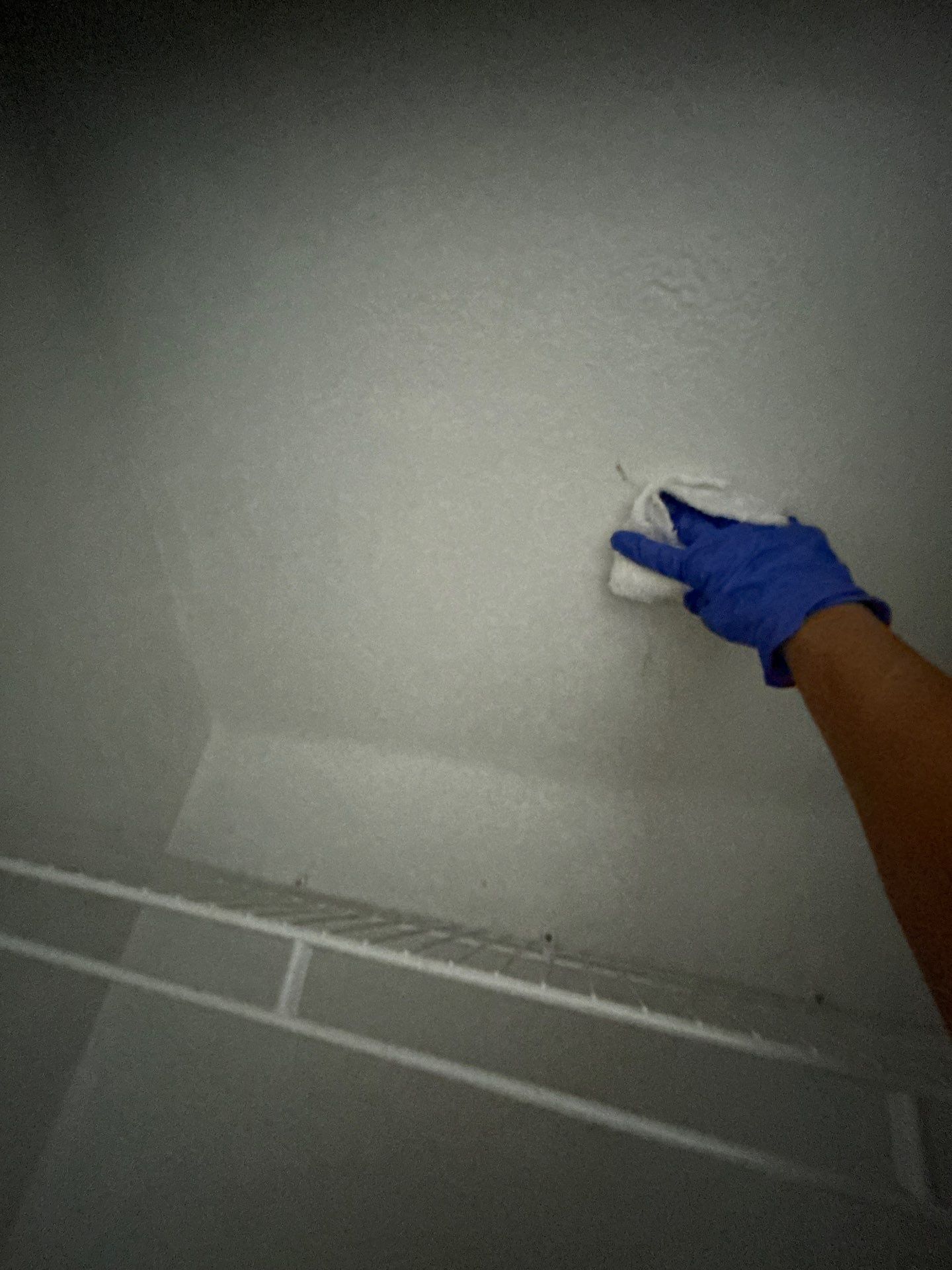 Stansell - water and mold photos  by THE RAPID TEAM