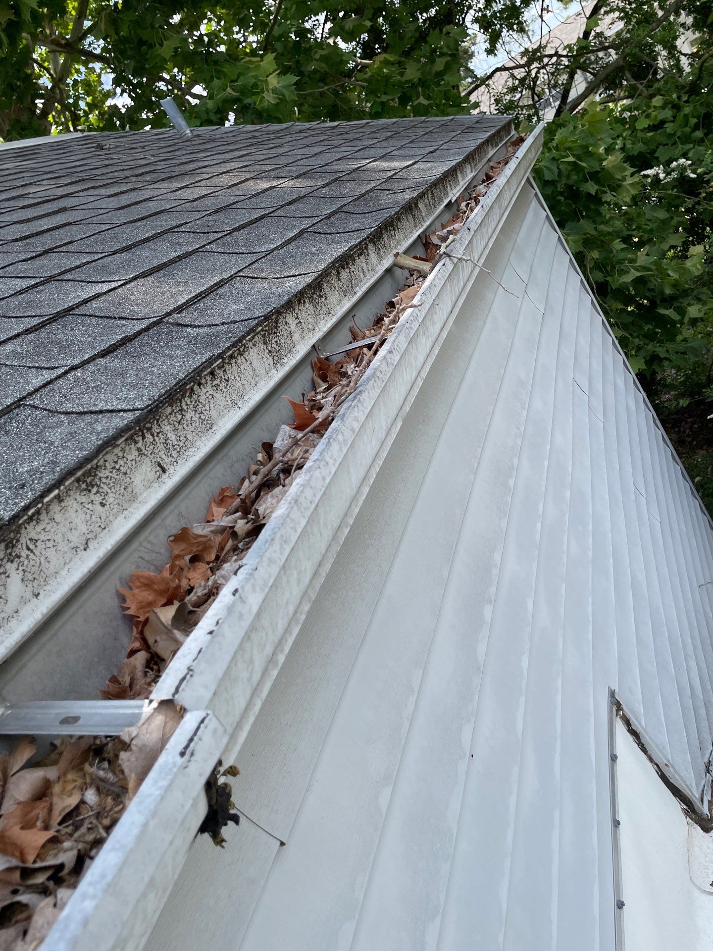 Gainesville gutter cleaning job, Job done, gutters at a residential location