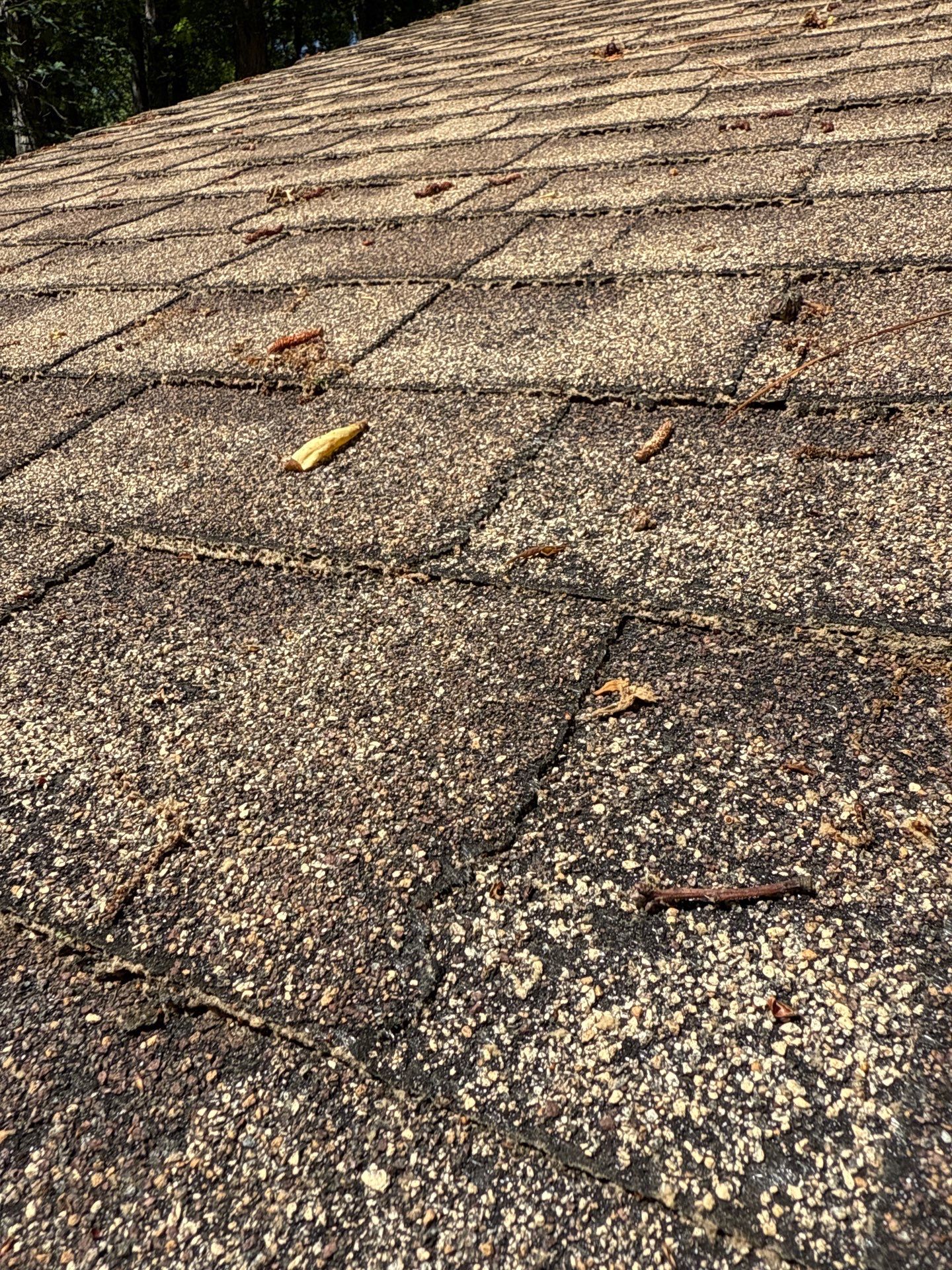 Project in Midlothian by Roof Maxx of Midlothian