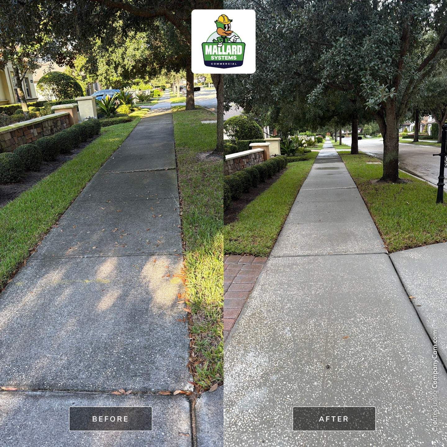 Tile Roof Cleaning for Winter Park Residence by Mallard Systems