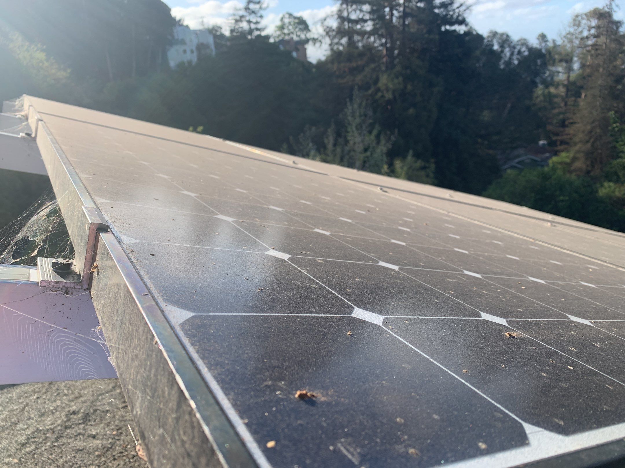 Elise Hurwitz’ Window Clean by SpotFree Window Cleaning