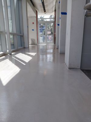 Rotonda at Collins Avenue