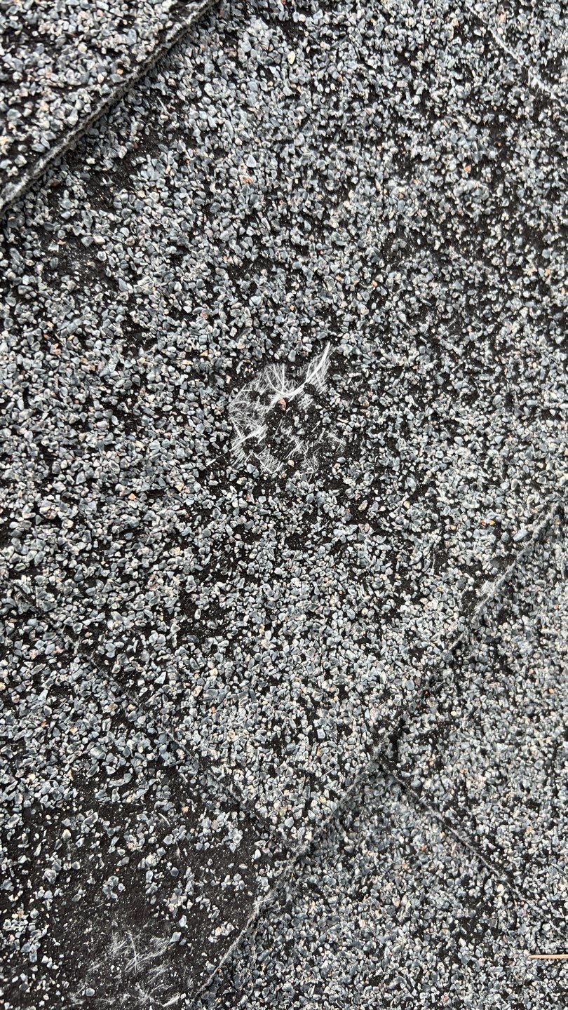 GAF HDZ Charcoal Roof Replacement  by Montana Roofing Solutions