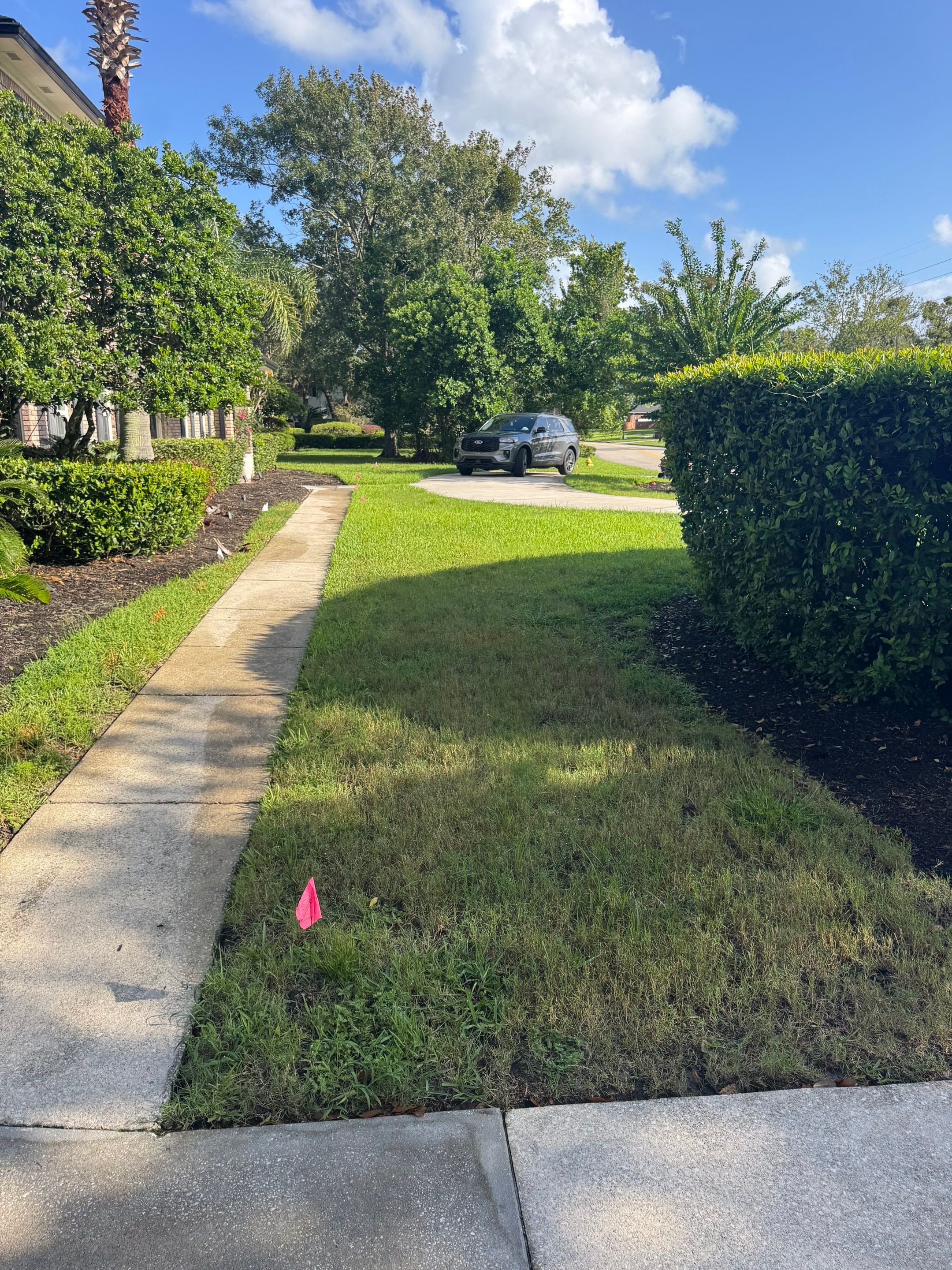 Deerwood Resident | Sod Installation by ProGreen Services