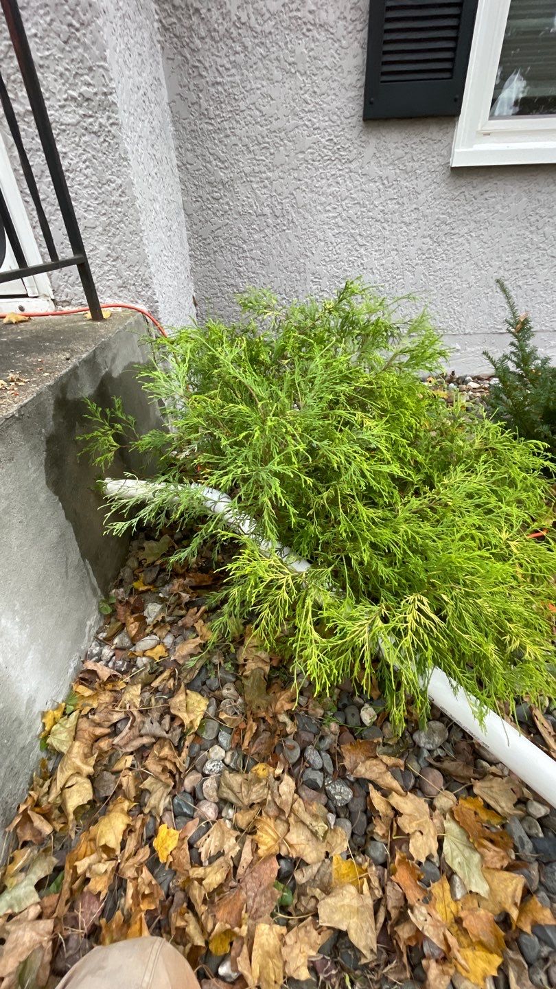 Well Room Waterproofing for Charlie by Waterproofing Northeast