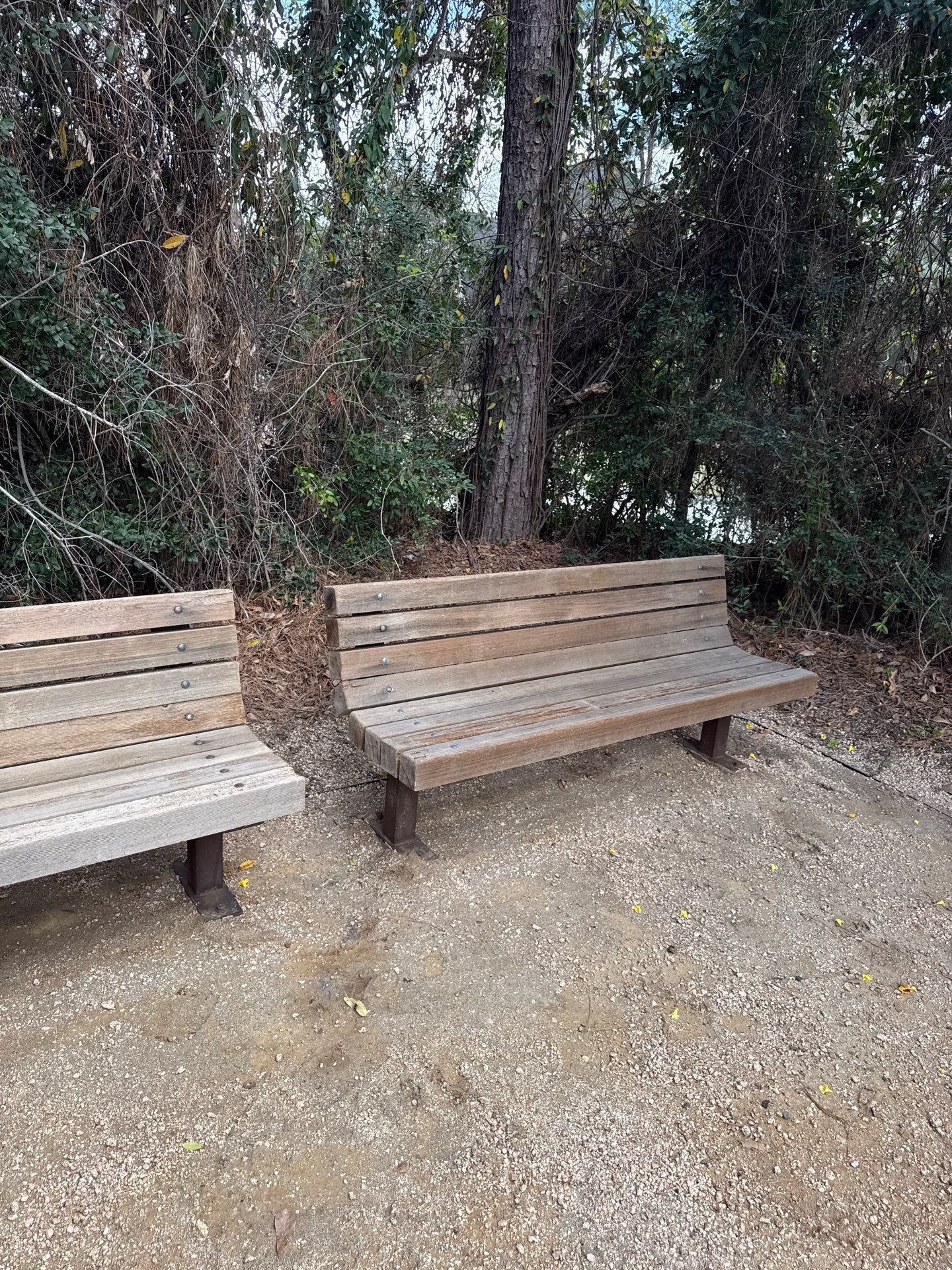 Clean and Stain Picnic Tables and Park Benches by Cypress Curb Appeal Services