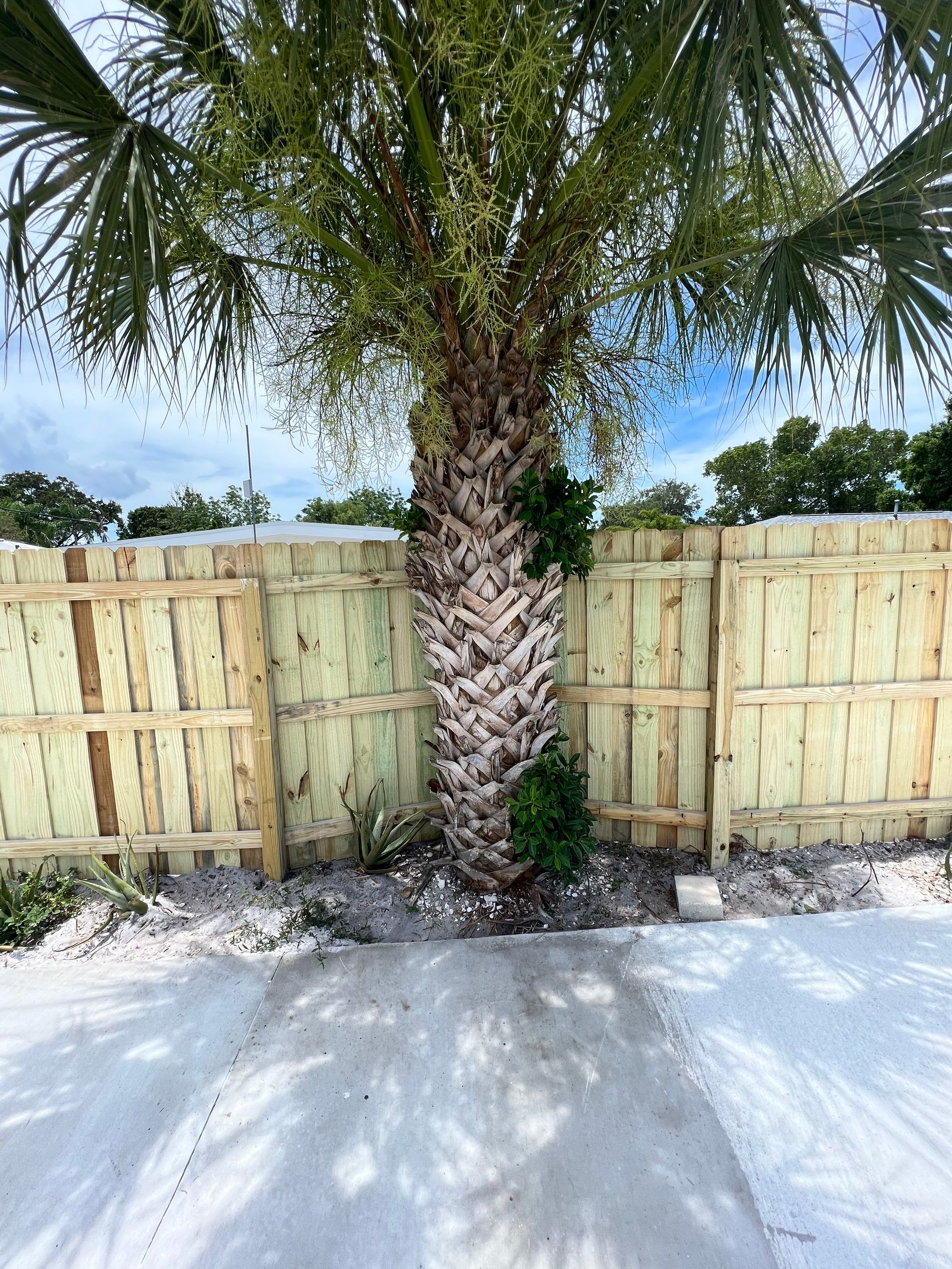 Bradenton, FL Wood Fence Installation using Board on Board Wood Fence by Asap fence and gates, LLC