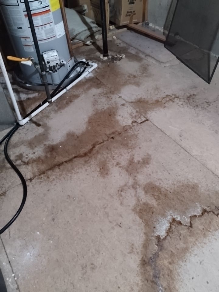 Mold Damage by Accountable Home Services