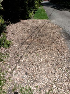 Tree Removal using Tree Removal