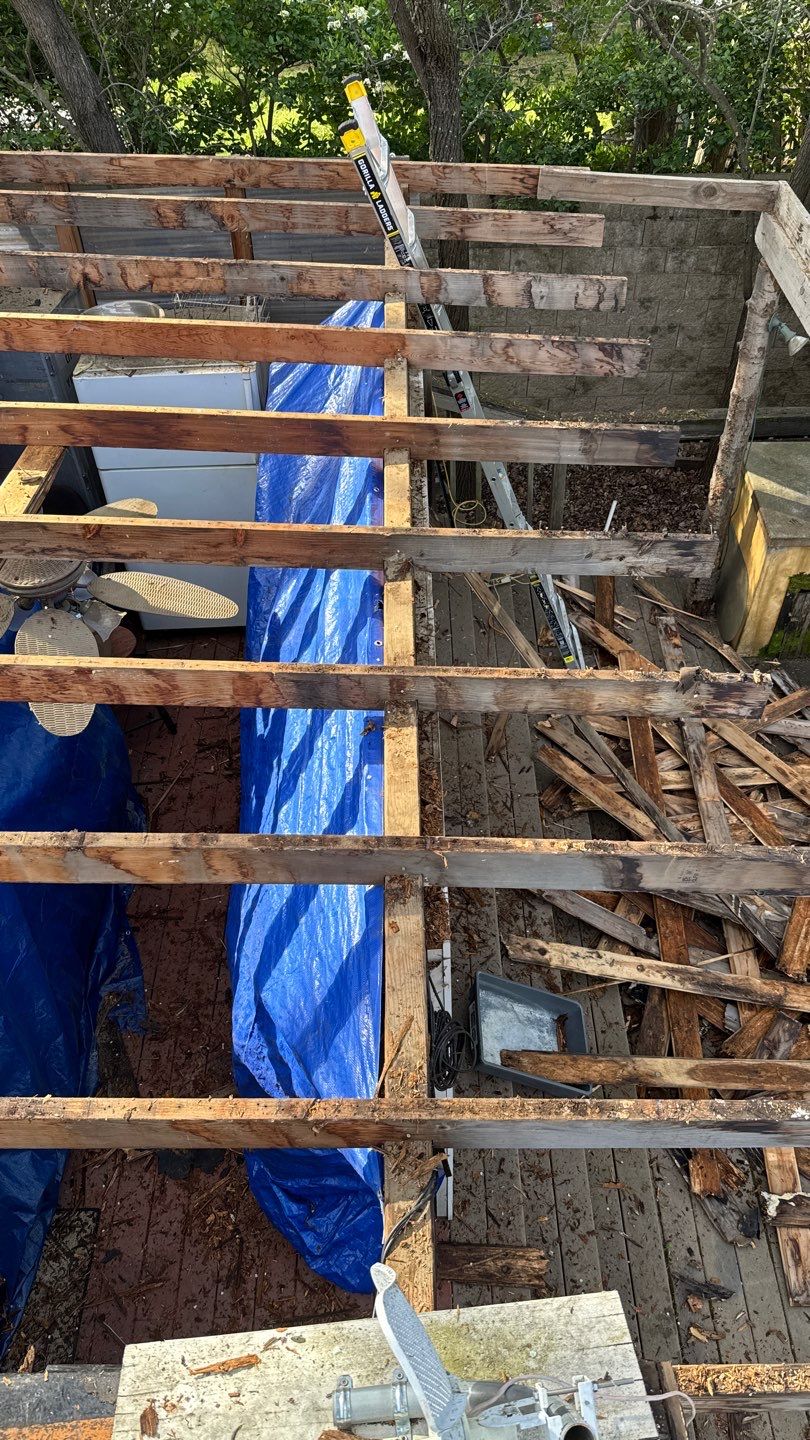 Willa Holmstock by NuLead Construction Inc