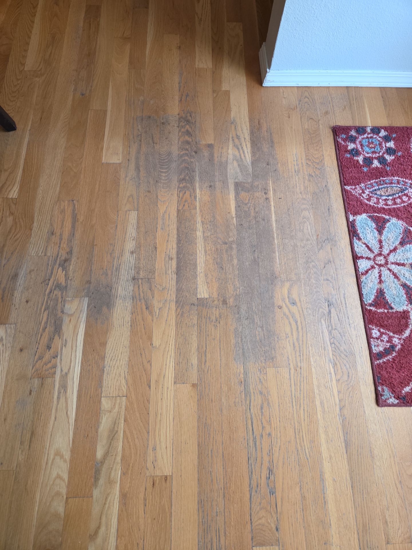 Natural Oak Hardwood Flooring Refinish in Milwaukie by American Made Construction