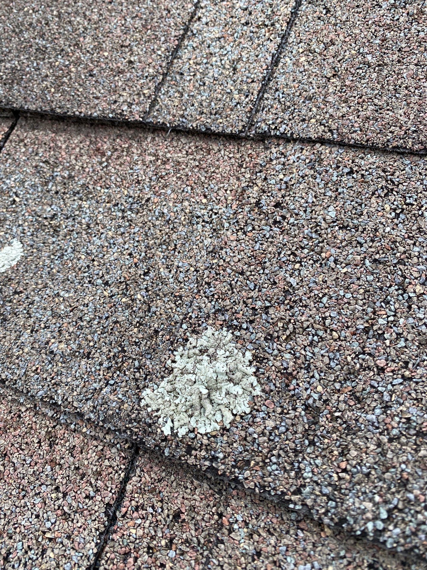 Realtor consult by Mighty Dog Roofing of Greater Middlesex County