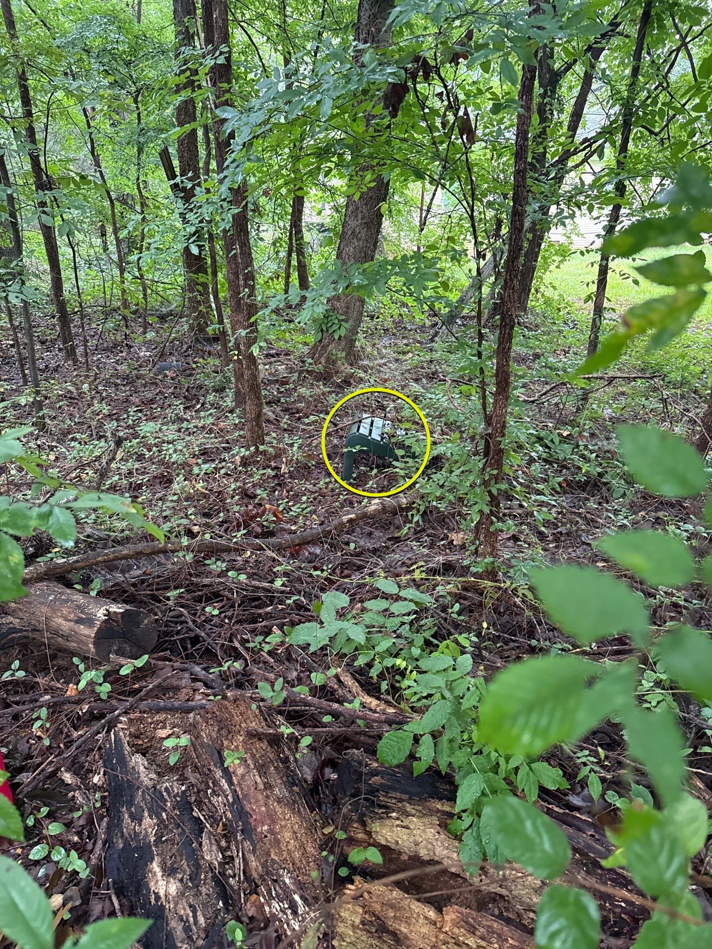 Project in Indian Trail by Badger Hauling