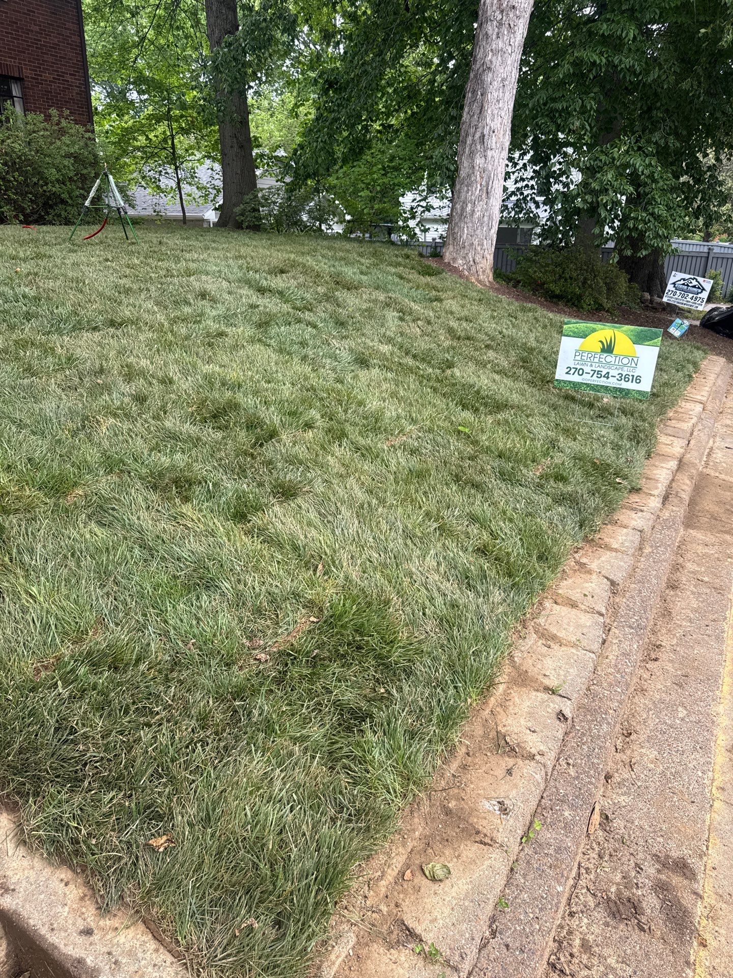 Sod Installation by Perfection Lawn & Landscape
