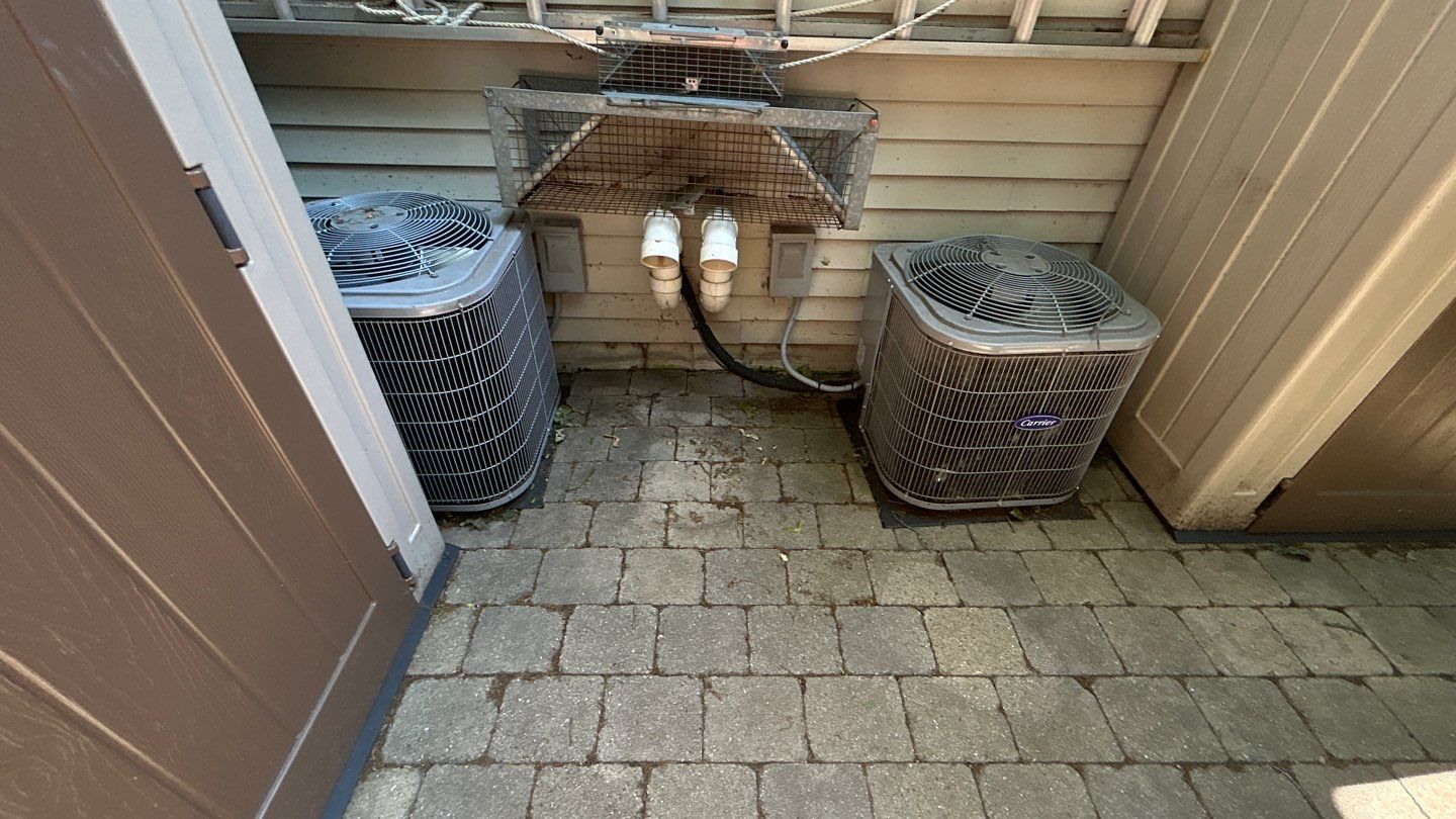 Brick paver clean, sand and seal.  using Polysweep polymeric sand by Northern Power Washing LLC.