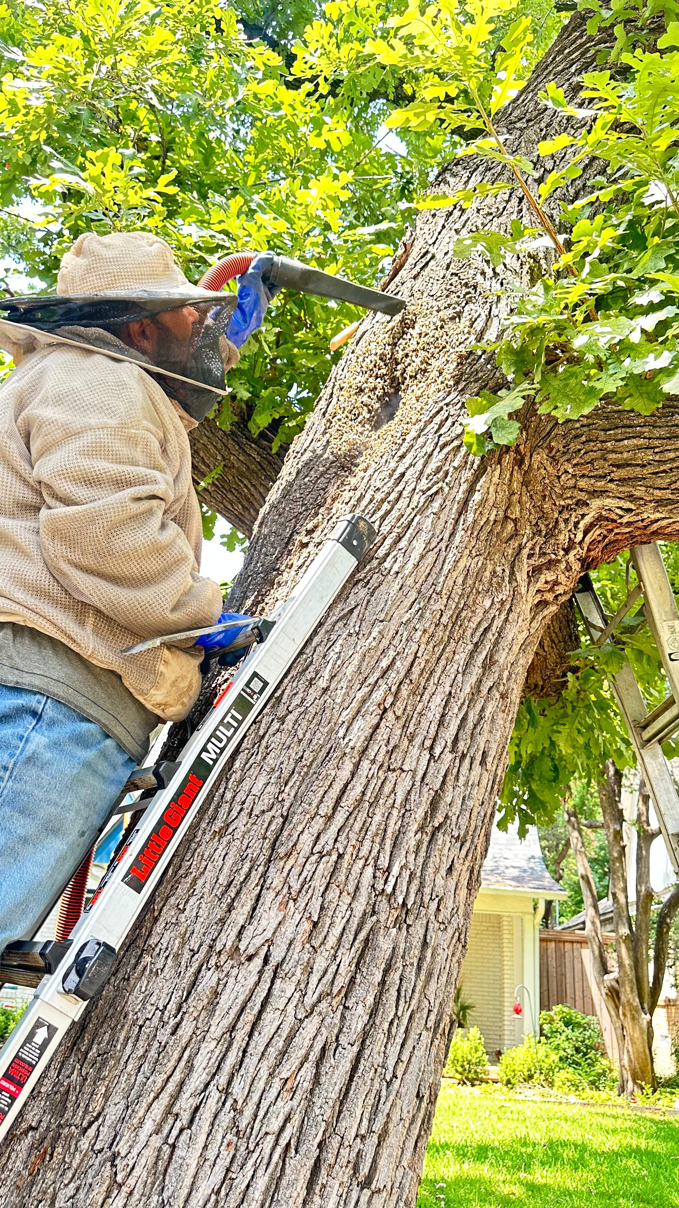 Tight Squeeze by Rockwall Honey Bee Company