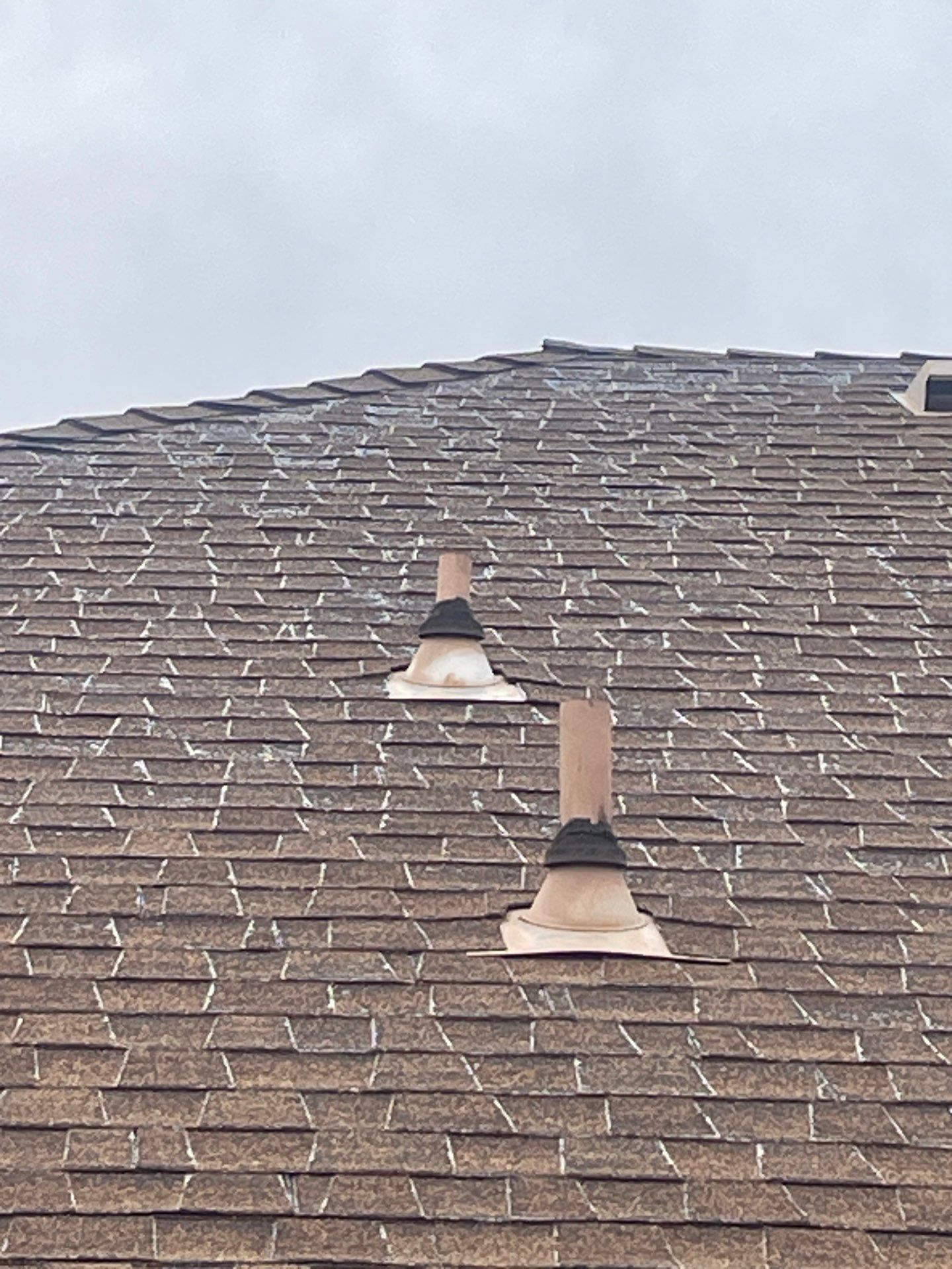Roof Rejuvenation using Roof Maxx Treatment by Roof Maxx of Folsom