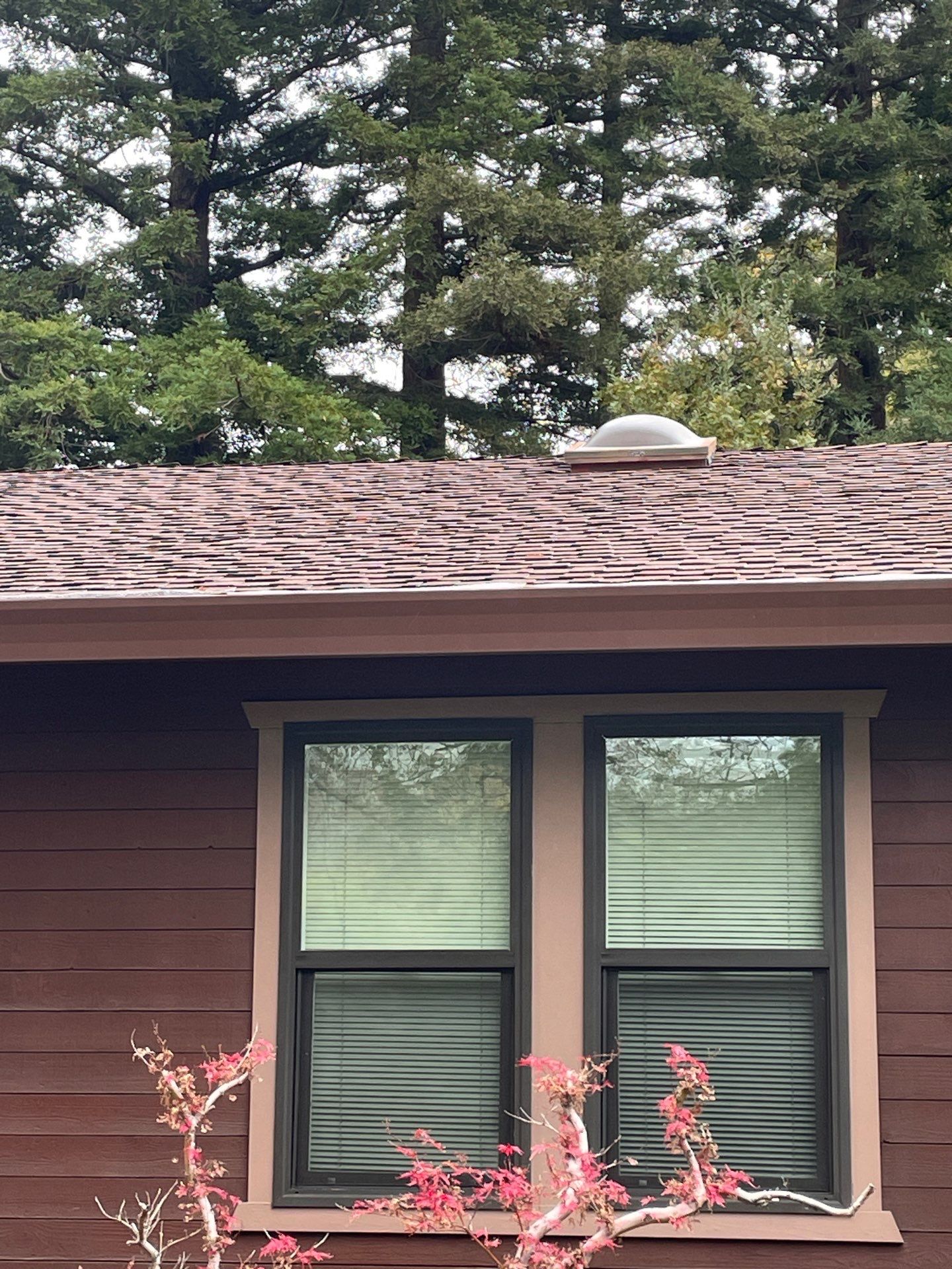 Roof Rejuvenation using Roof Maxx Treatment by Roof Maxx of Folsom