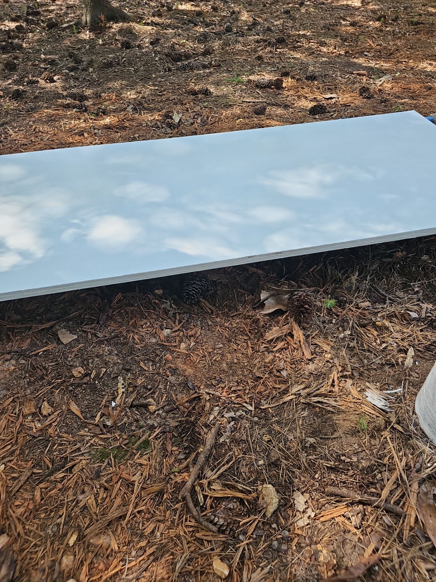 Exterior Transformation in Jonhs Creek by Atlanta's Paint Doctor