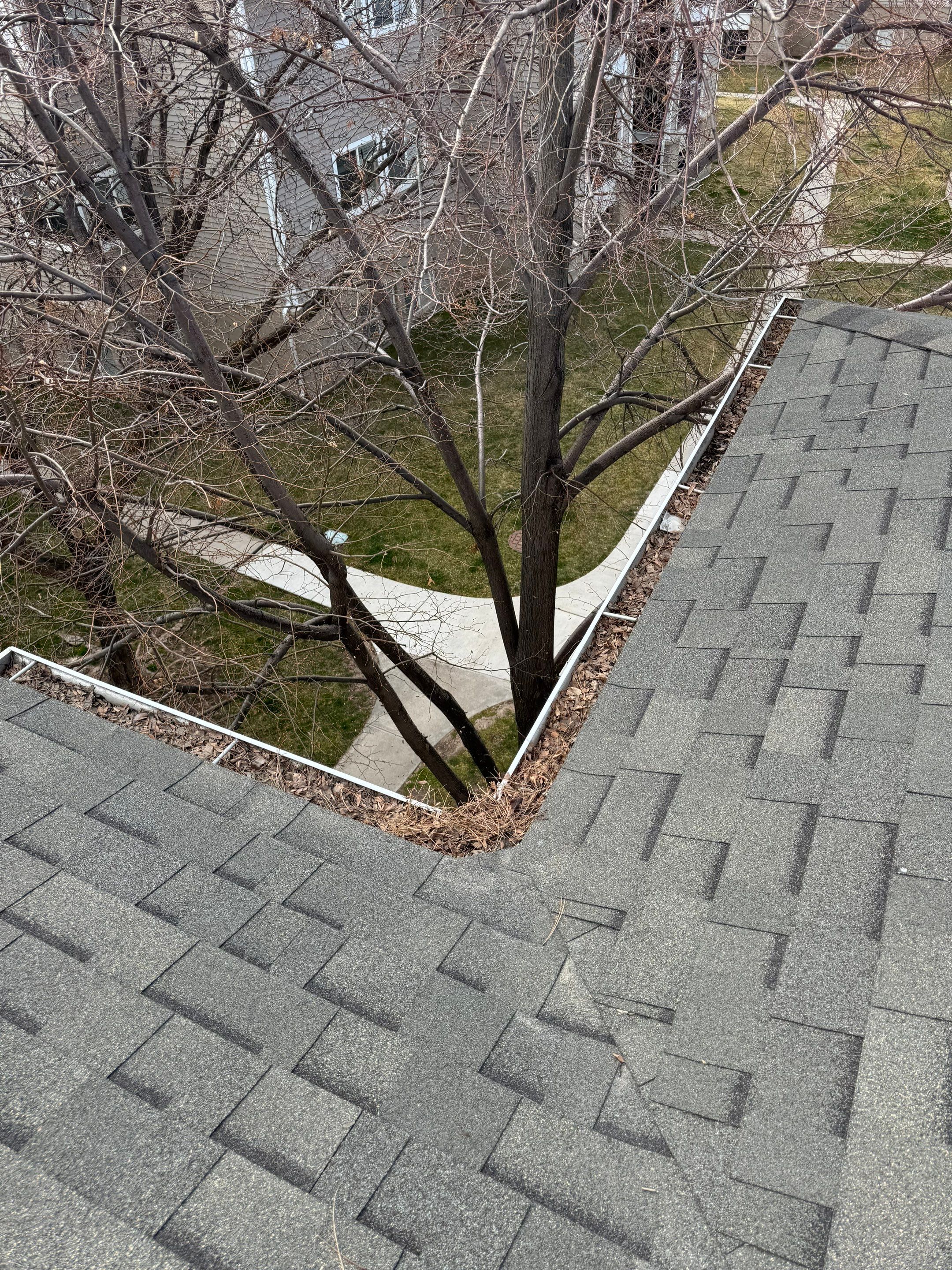 Commercial gutter cleaning Provo & Orem, UT before photo with filled gutters