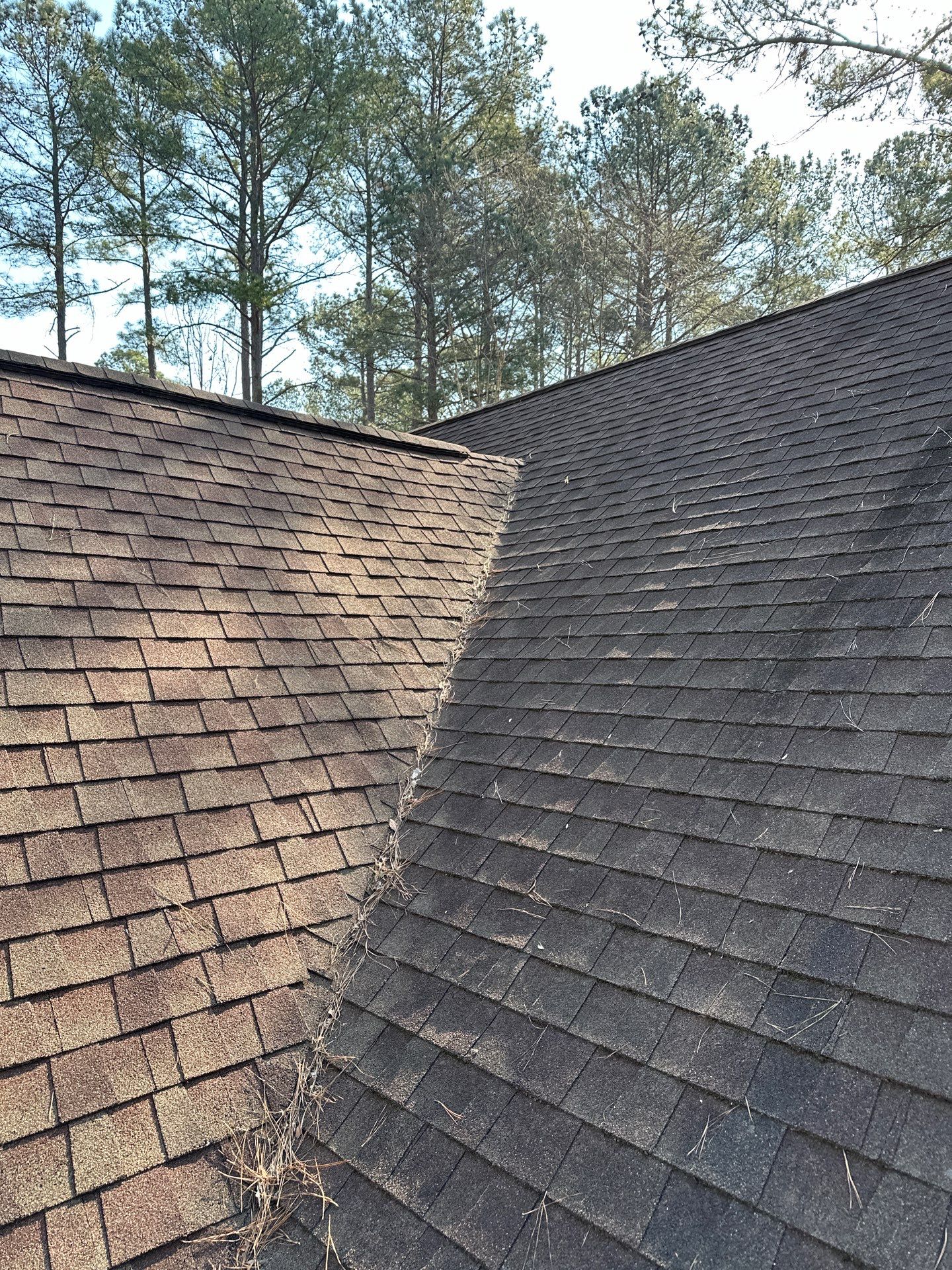 The Cribbs by United Contracting and Roofing