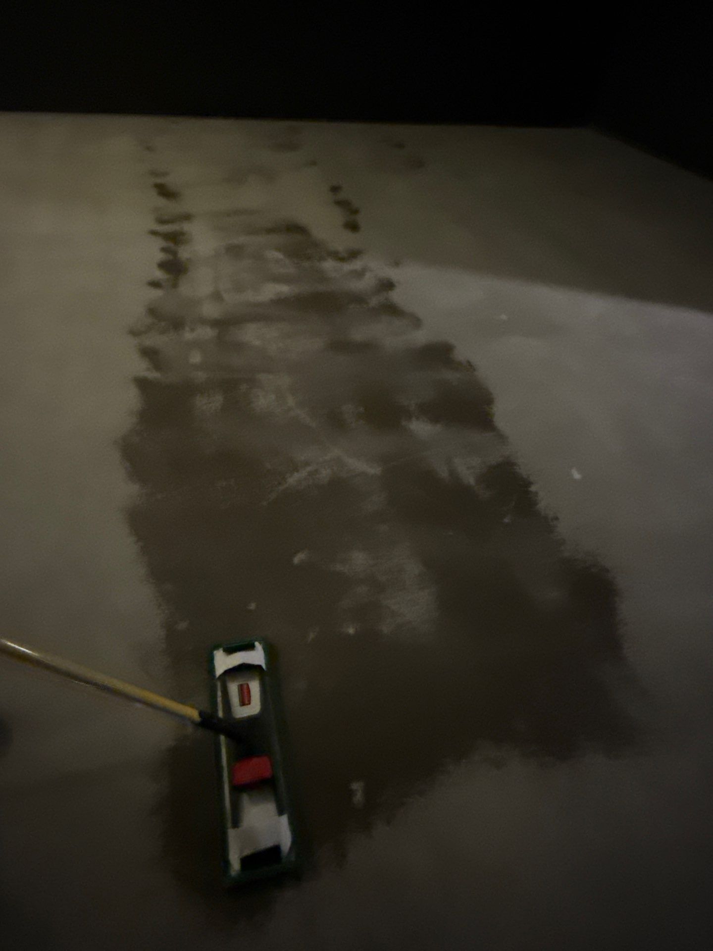 Grind off 20 layers of Paint Project in Pittsburgh by Floors in a Day, Inc