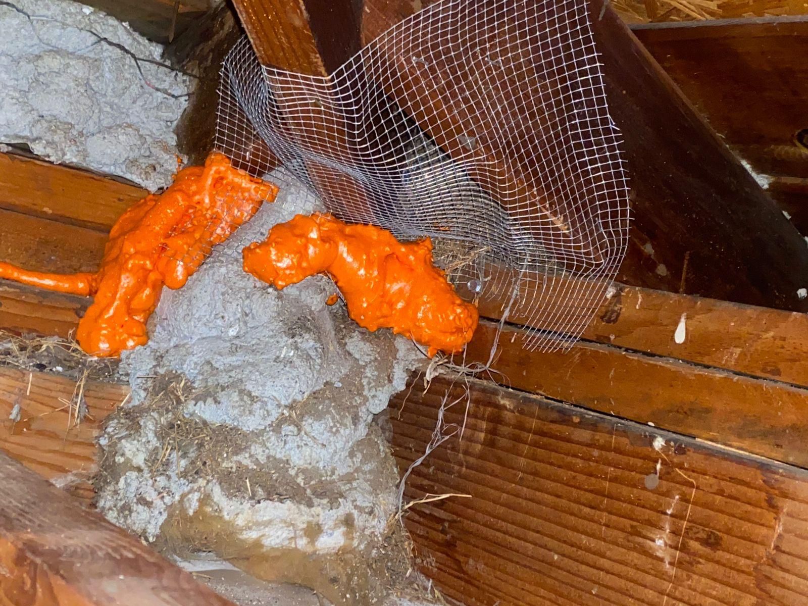 Project in San Gabriel by Insulation Labs
