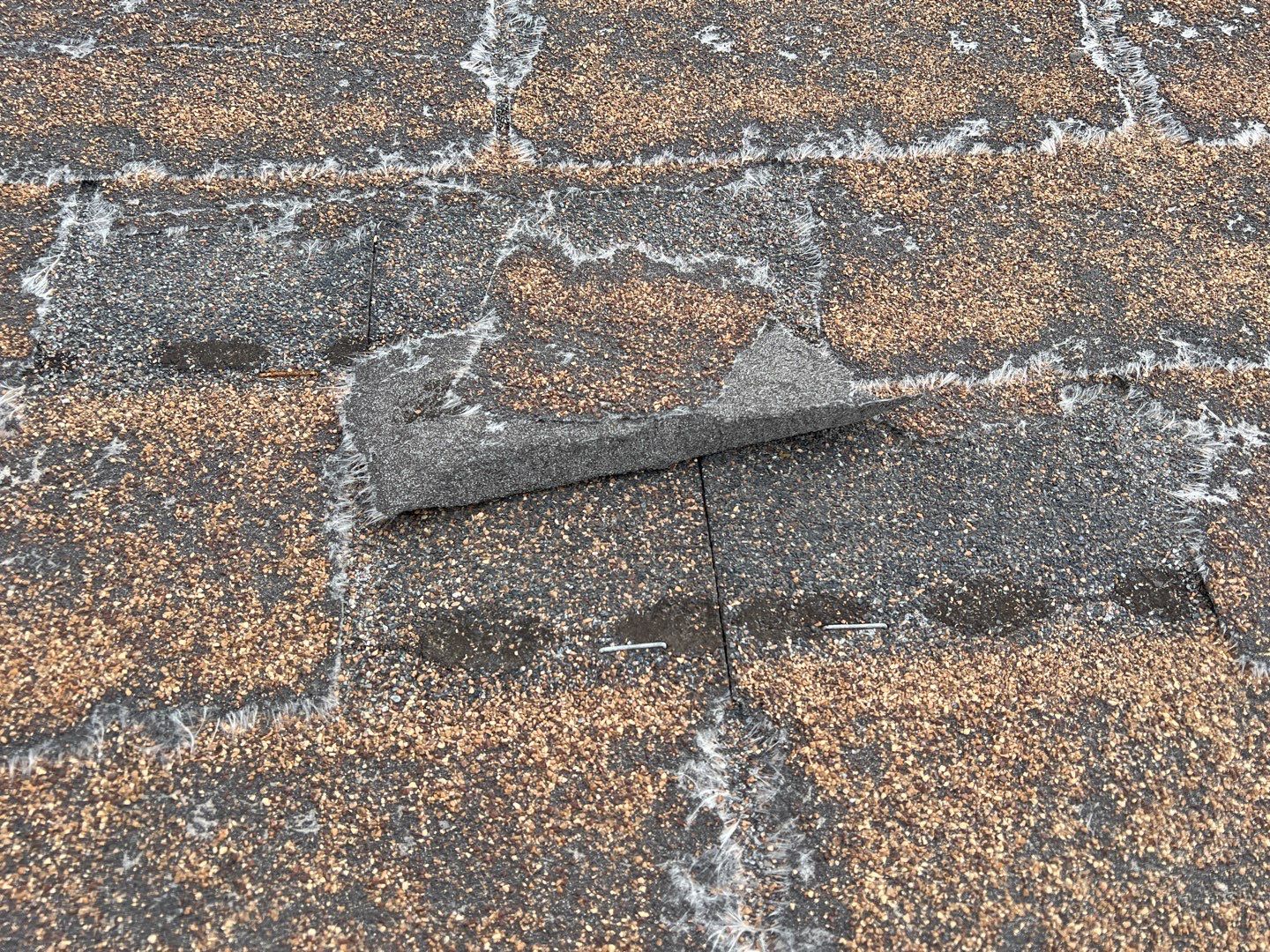 John's Full Re-roof by All Storm Roofing & Construction