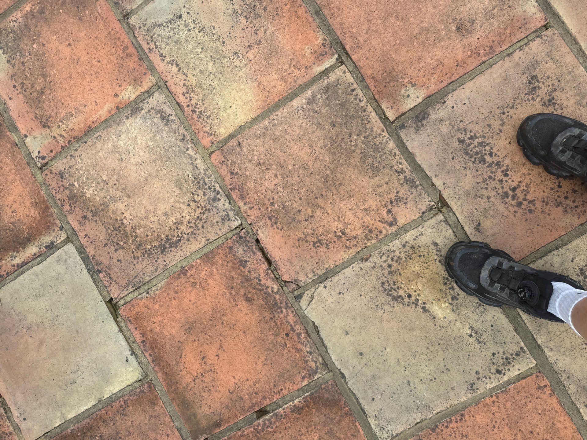 Roof and Patio Cleaning using Honda 15lpm Low Pressure Washing Machine by Ges Exterior Cleaning ltd