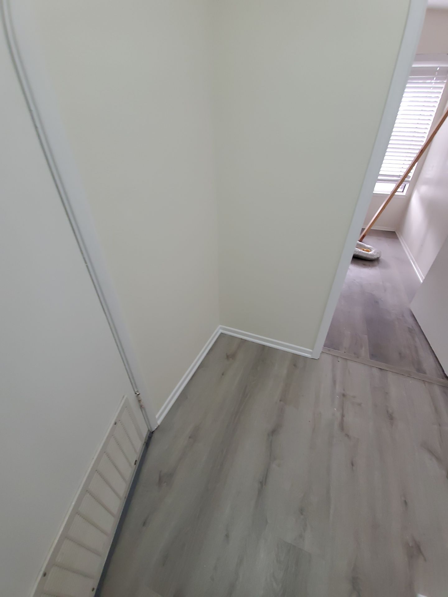 Mold Remediation & Rebuild in Laguna Niguel by One Stop Source