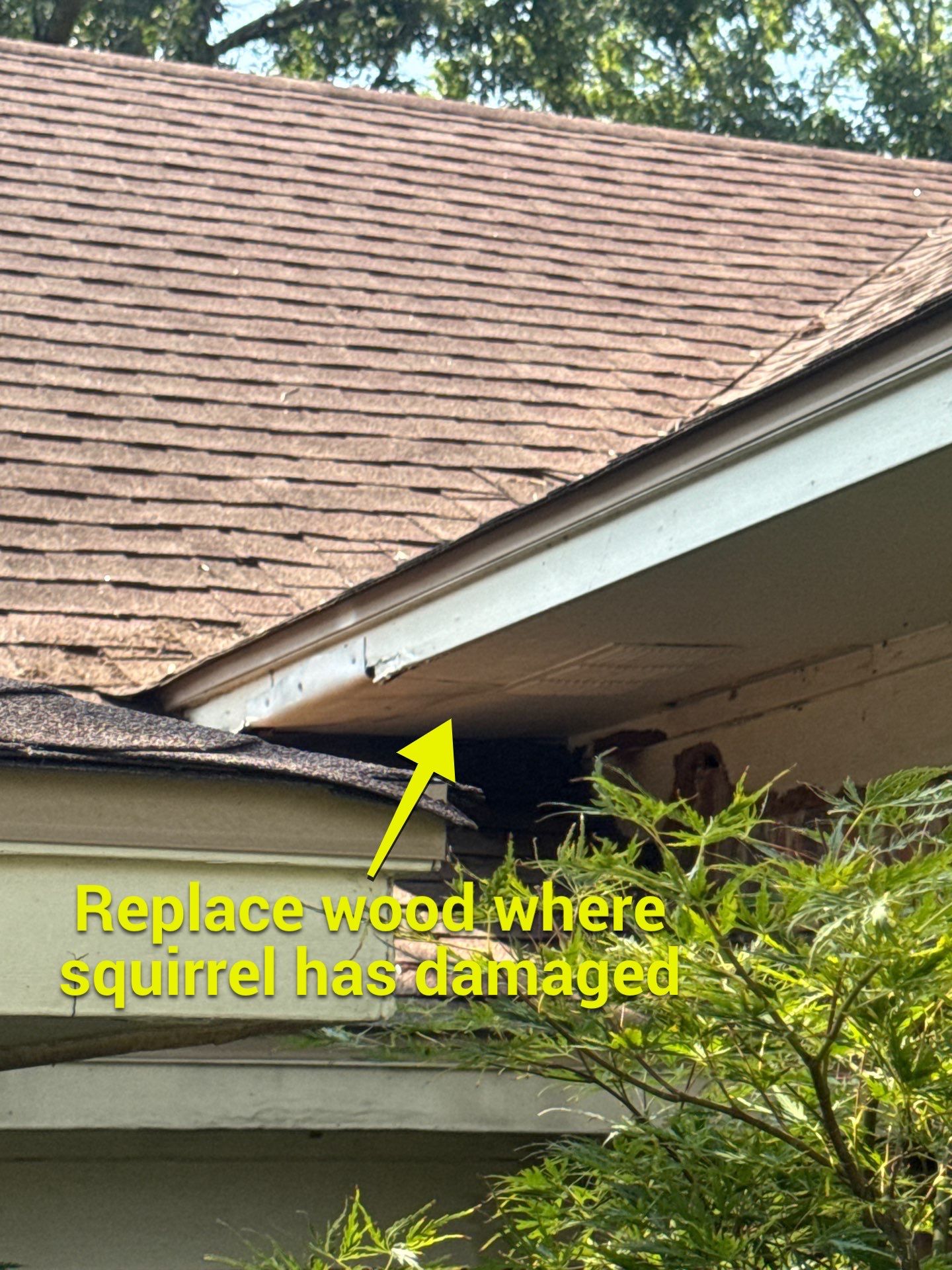 Exterior Repaint – South Tyler, Texas - Lots of Wood Replaced by Quality Coats Painting