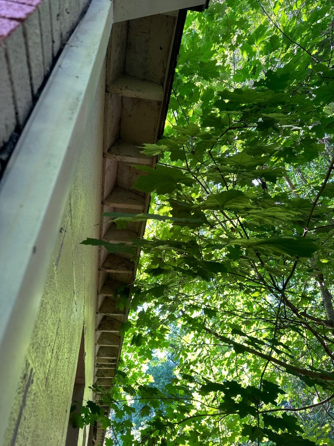 Residential Roofing Installation using Certainteed  by 757 EXTERIORS INC