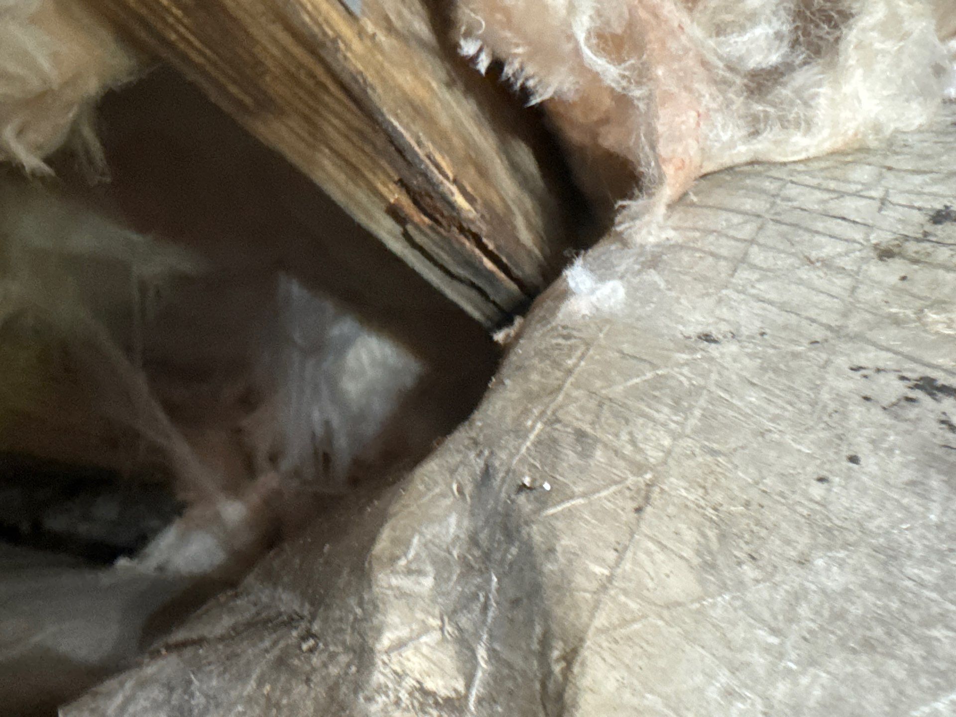 Project in Ivor by Patriot Crawl Space Repairs