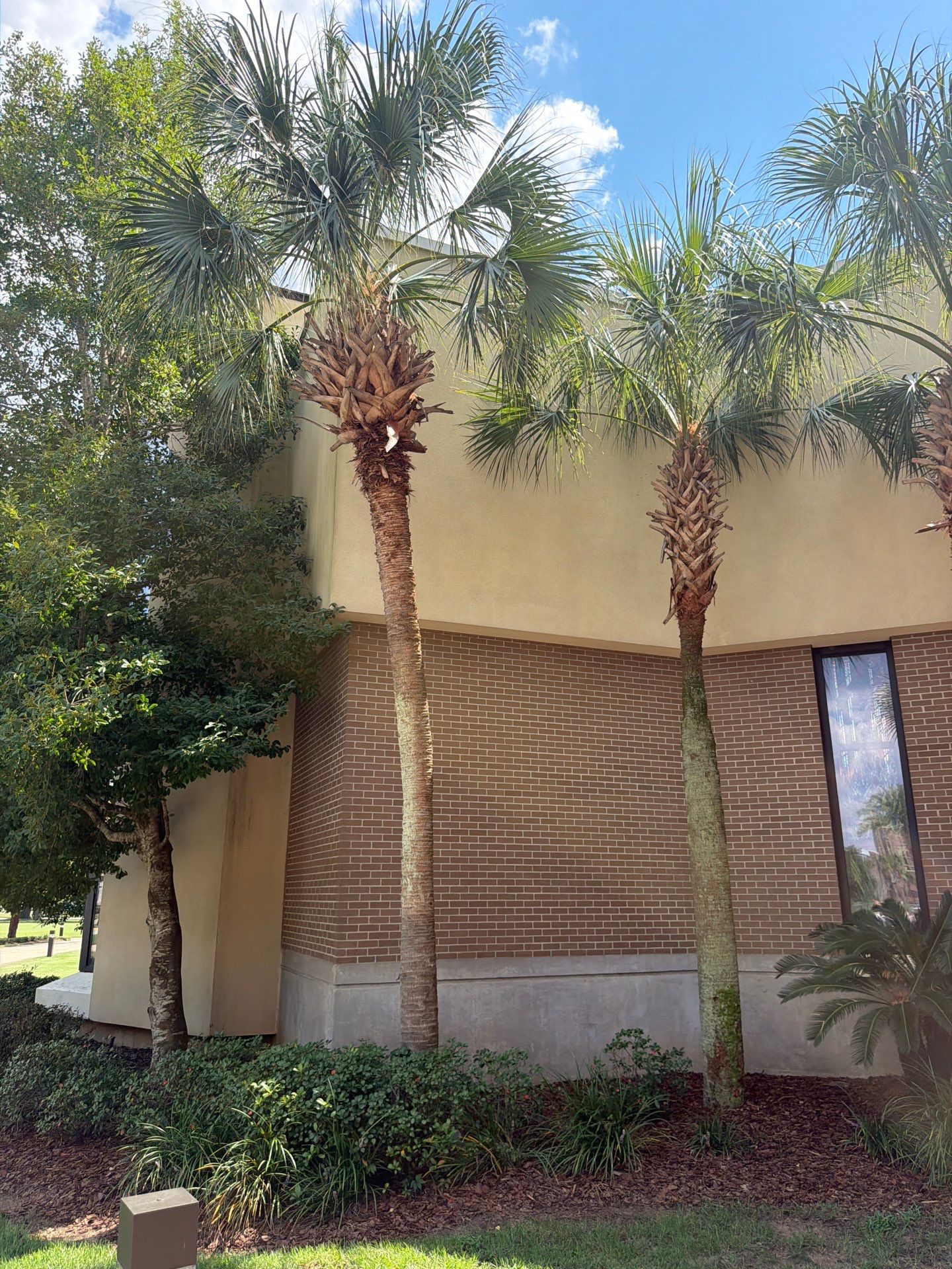 PCC Crowne Center Exterior Wall Repairs Pensacola, Fl by US Roofing Systems
