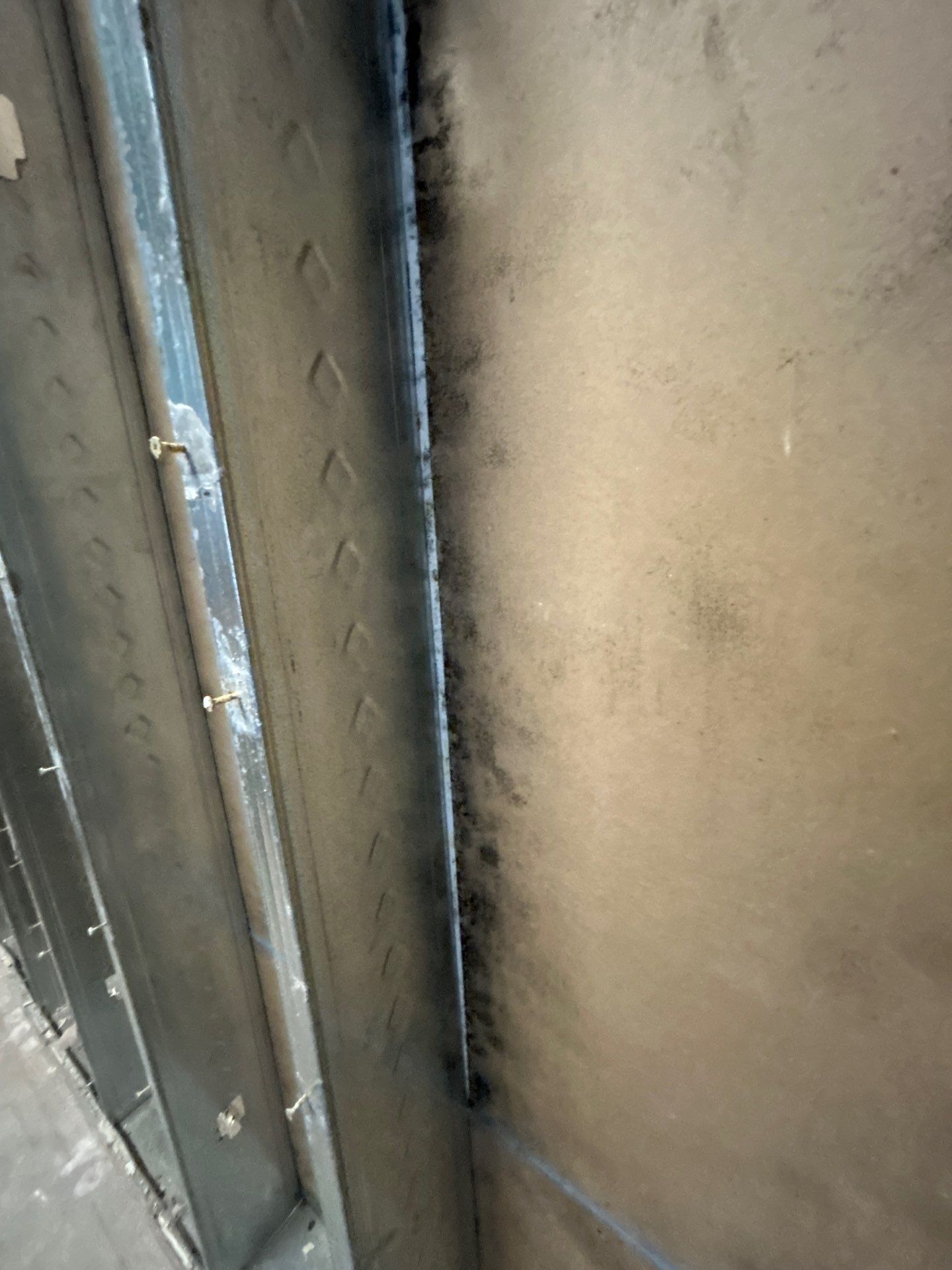 Parrish Mold Removal & Remediation  by Ampm Restoration Services 