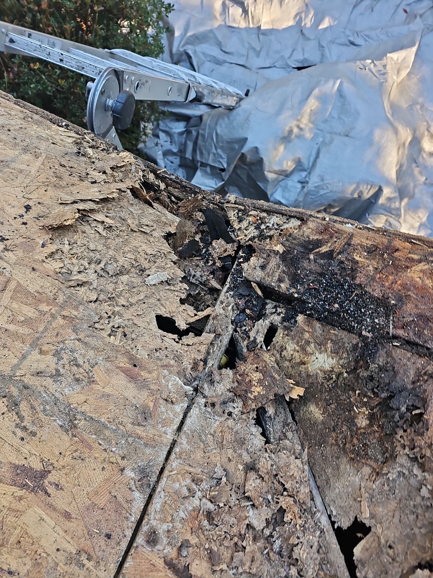 Roof Replacement by Winchester Roofing