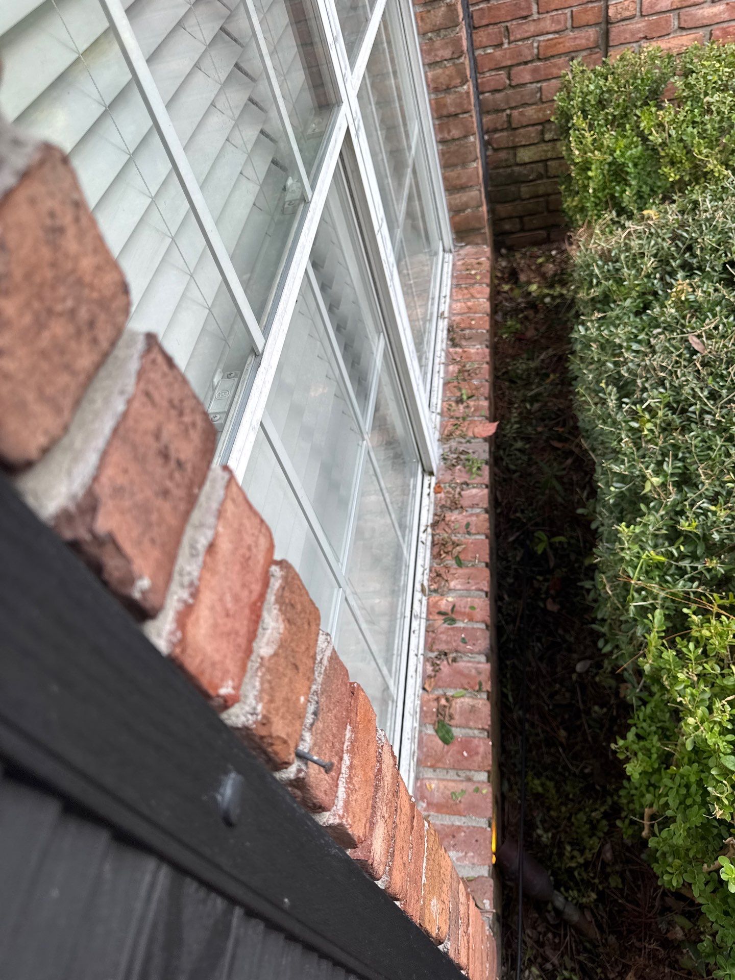 Residential | Shrub Trimming by ProGreen Services