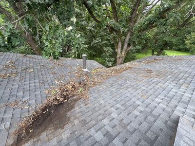 Professional Gutter Cleaning and Deck Power Washing in Fitchburg