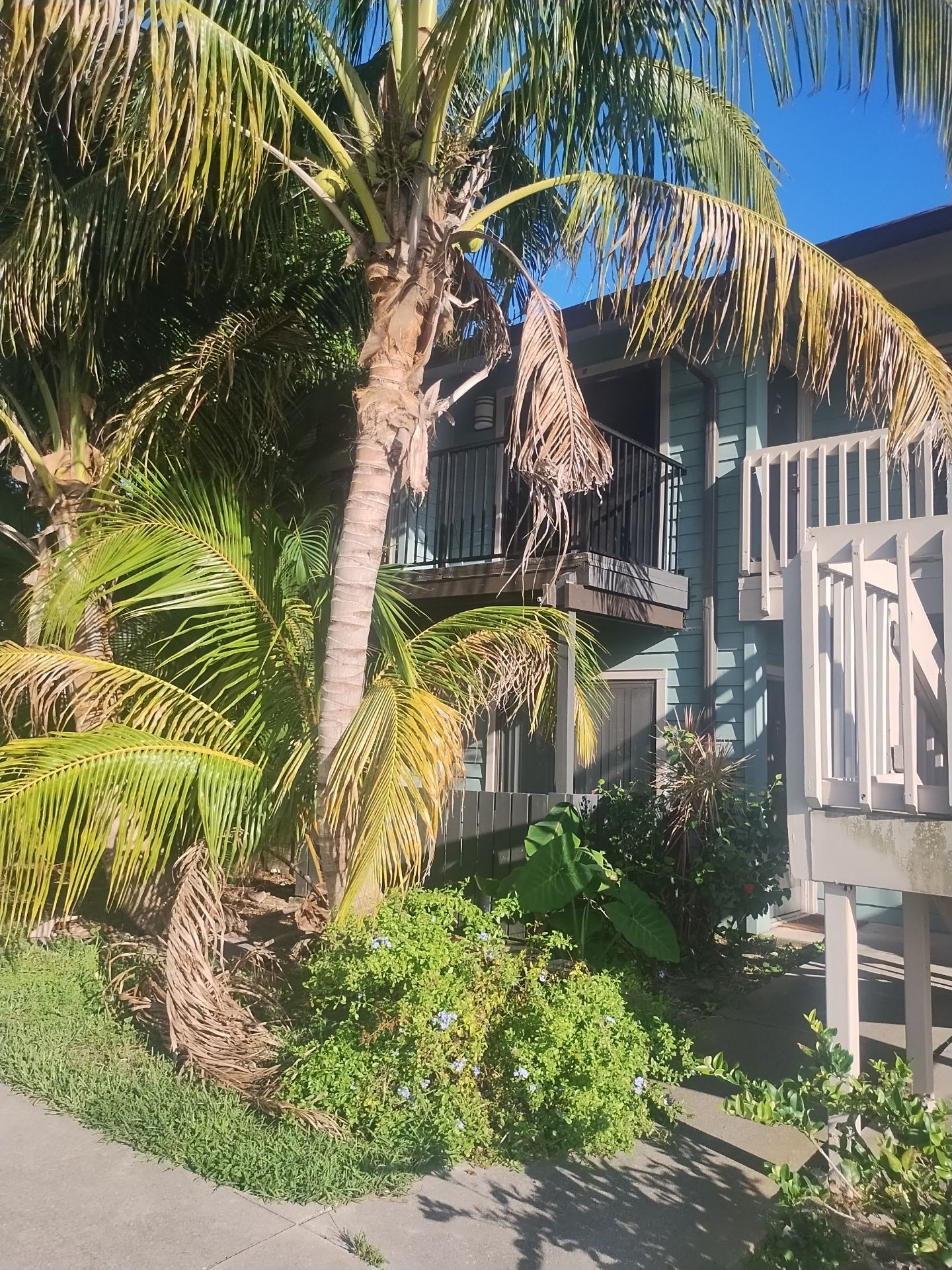 Residential Gutter System Upgrade in Fort Myers FL - 27 Building And Club House by Gutter Professors