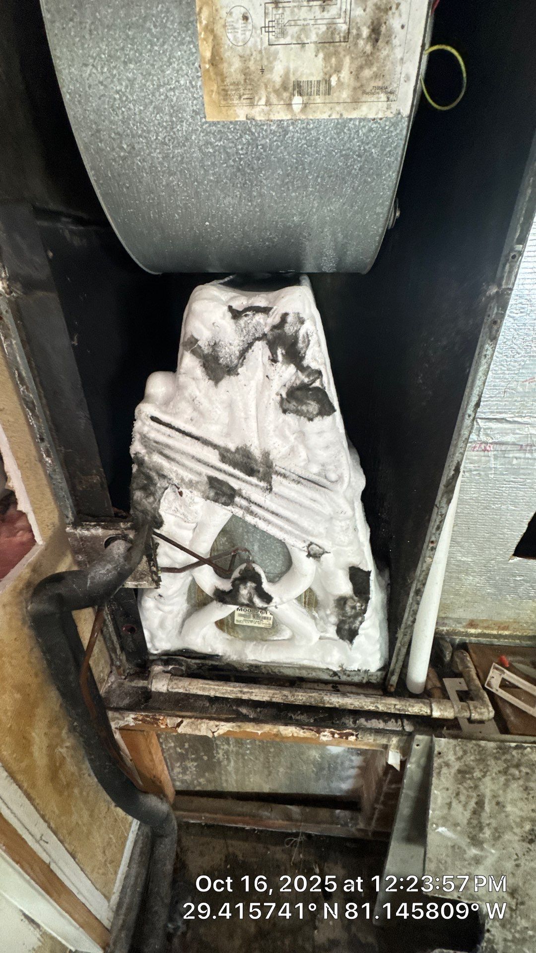 Air Duct Cleaning in Ormond Beach by Hygienic Air, Inc