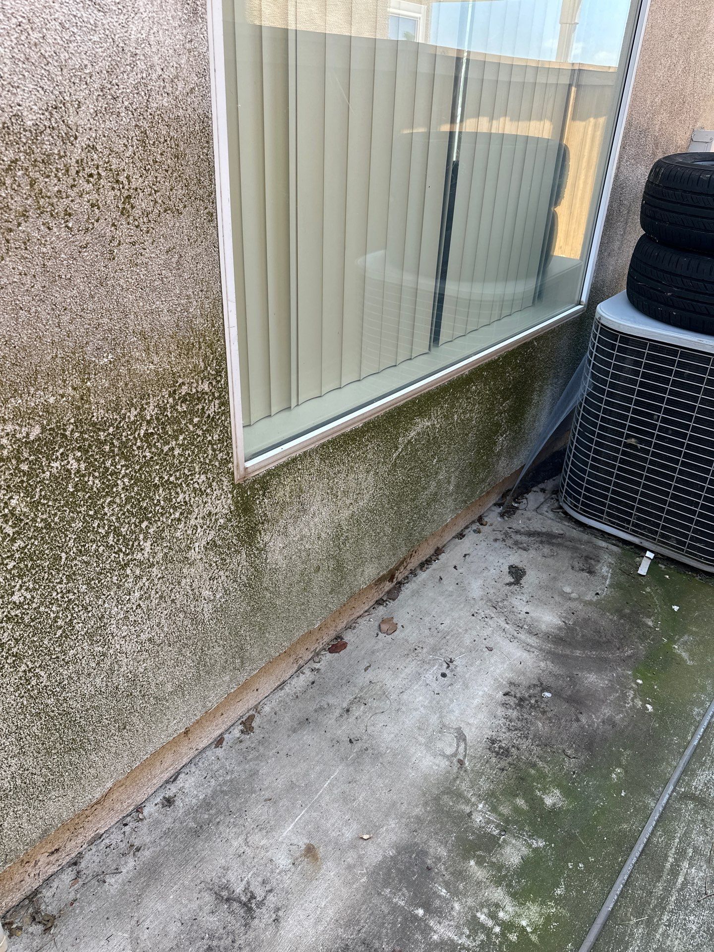 This home was COVERED in growth by Property Cleaning Experts, LLC
