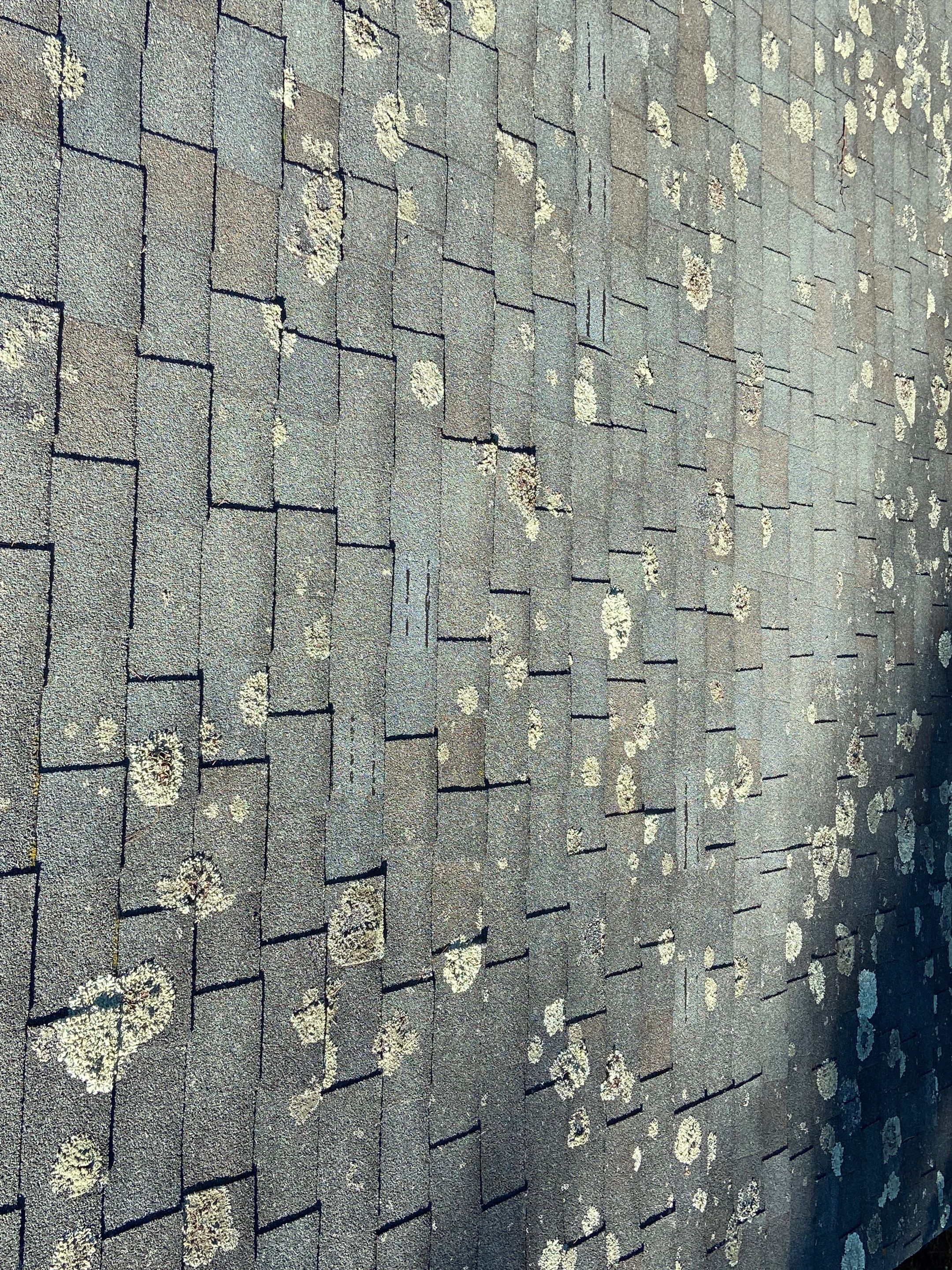 Ready for a Beautiful, Long-Lasting Roof? We’ve Got You Covered! by Sensible Home Solutions