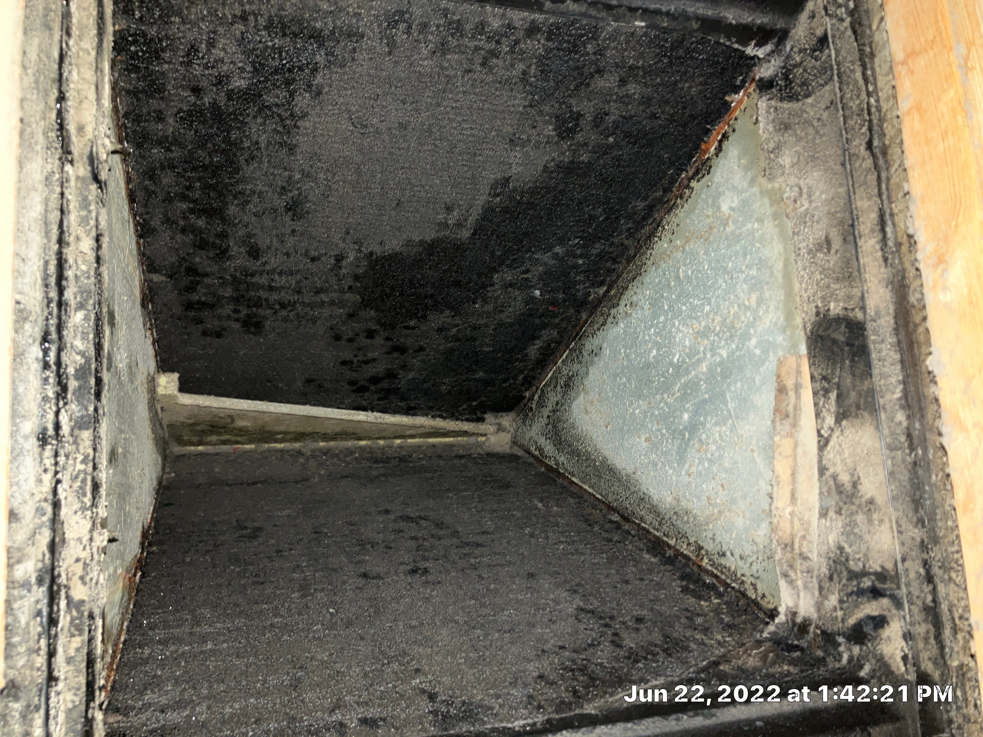 Another HOT Summer Day  by TEXAN Home Improvements