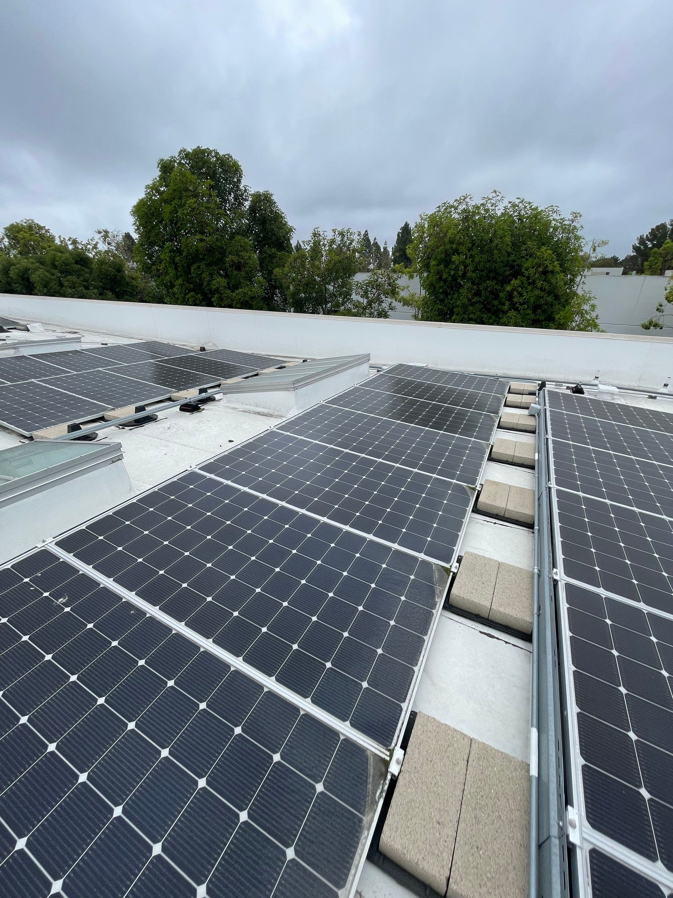 Commercial Solar Cleaning by Palm Coast Solar Cleaning